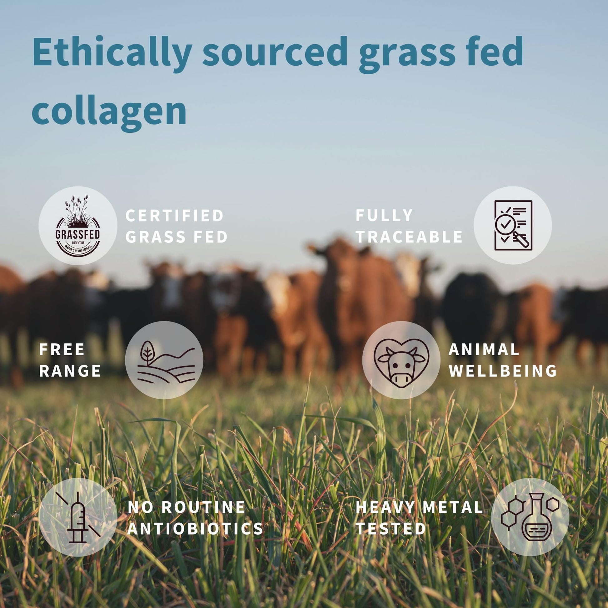 Advanced Hydrolysed Collagen Peptides, 100% Grass Fed & Ethically Sourced Igennus Healthcare Nutrition Au supplements