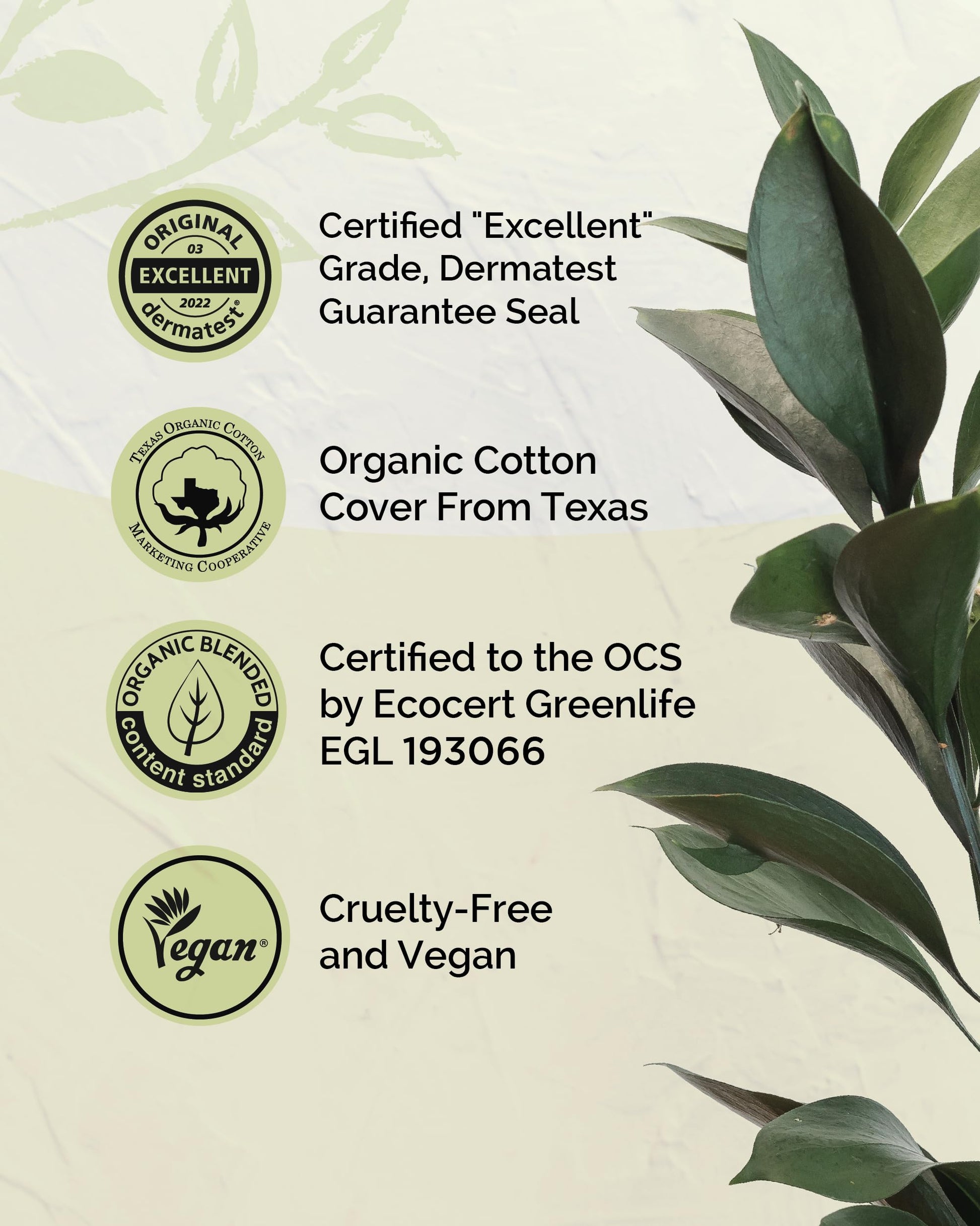 LABON Premium Vegan Organic Sanitary Pads (Regular, 25cm, 32 Counts) - 100% Organic Cotton Cover OCBON Au supplements