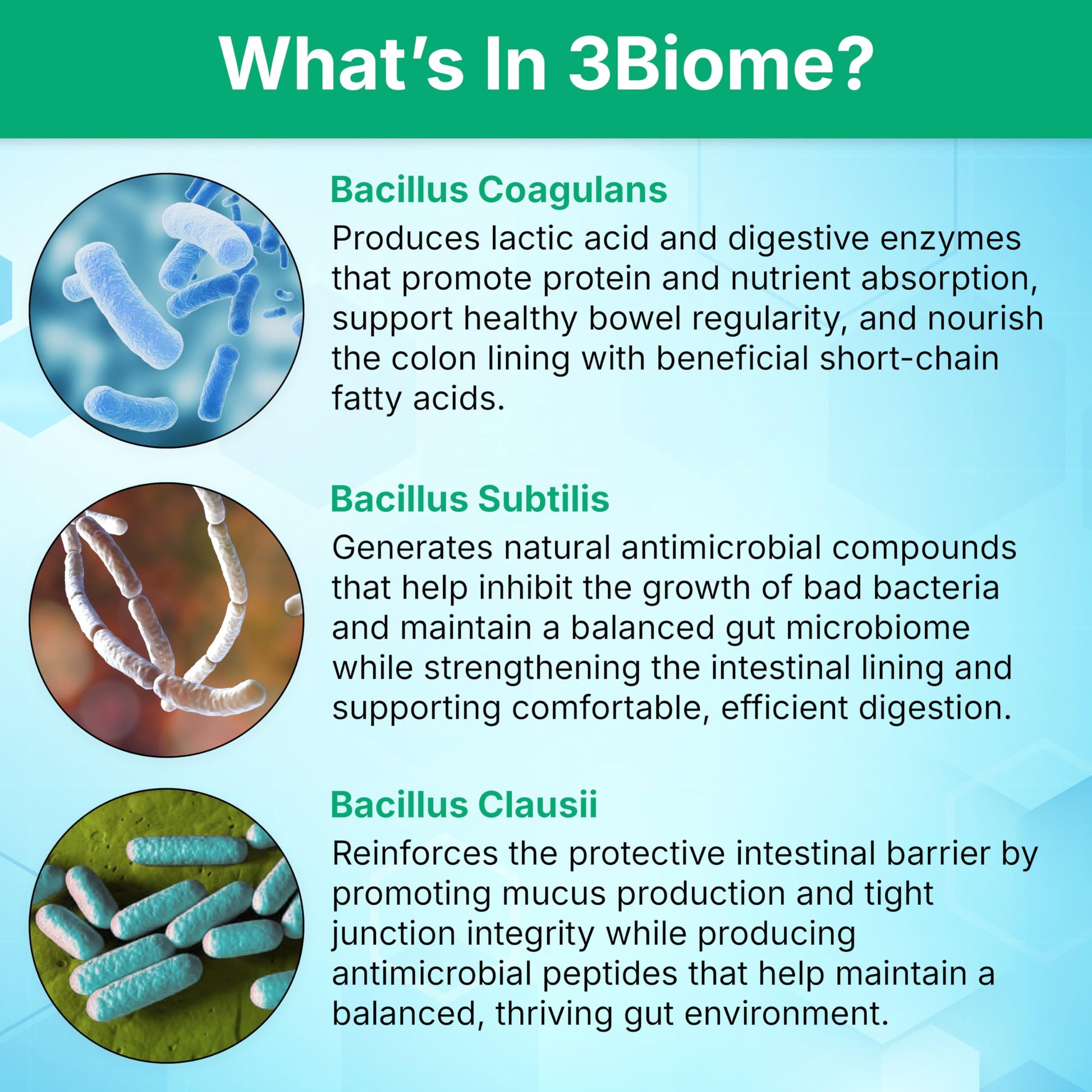 3Biome - Natural Probiotic Supplement - Non-GMO, Vegan, Gluten-Free 3Biome Au supplements