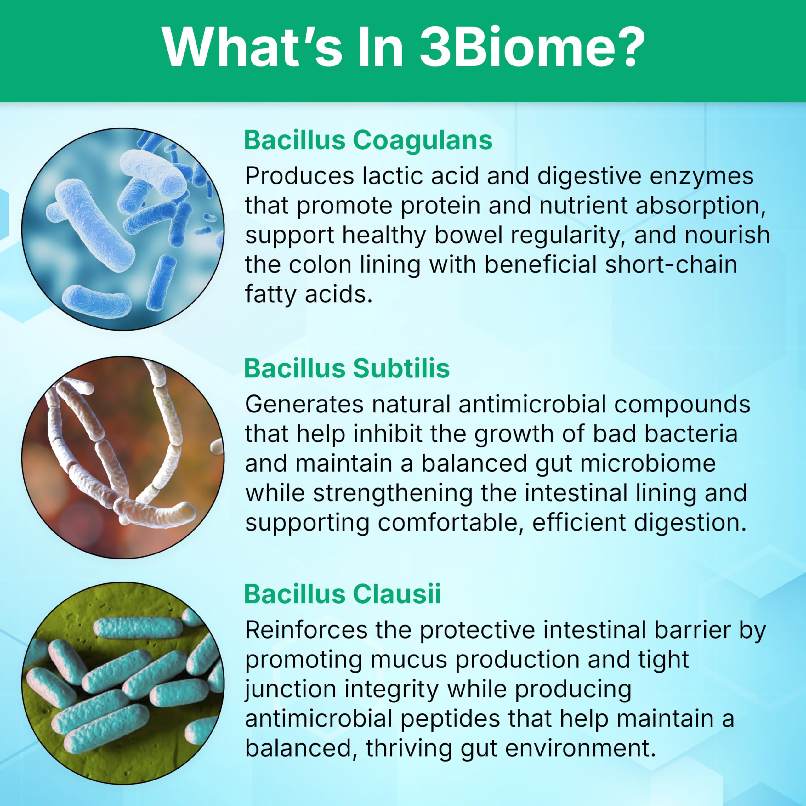 3Biome - Natural Probiotic Supplement - Non-GMO, Vegan, Gluten-Free 3Biome Au supplements