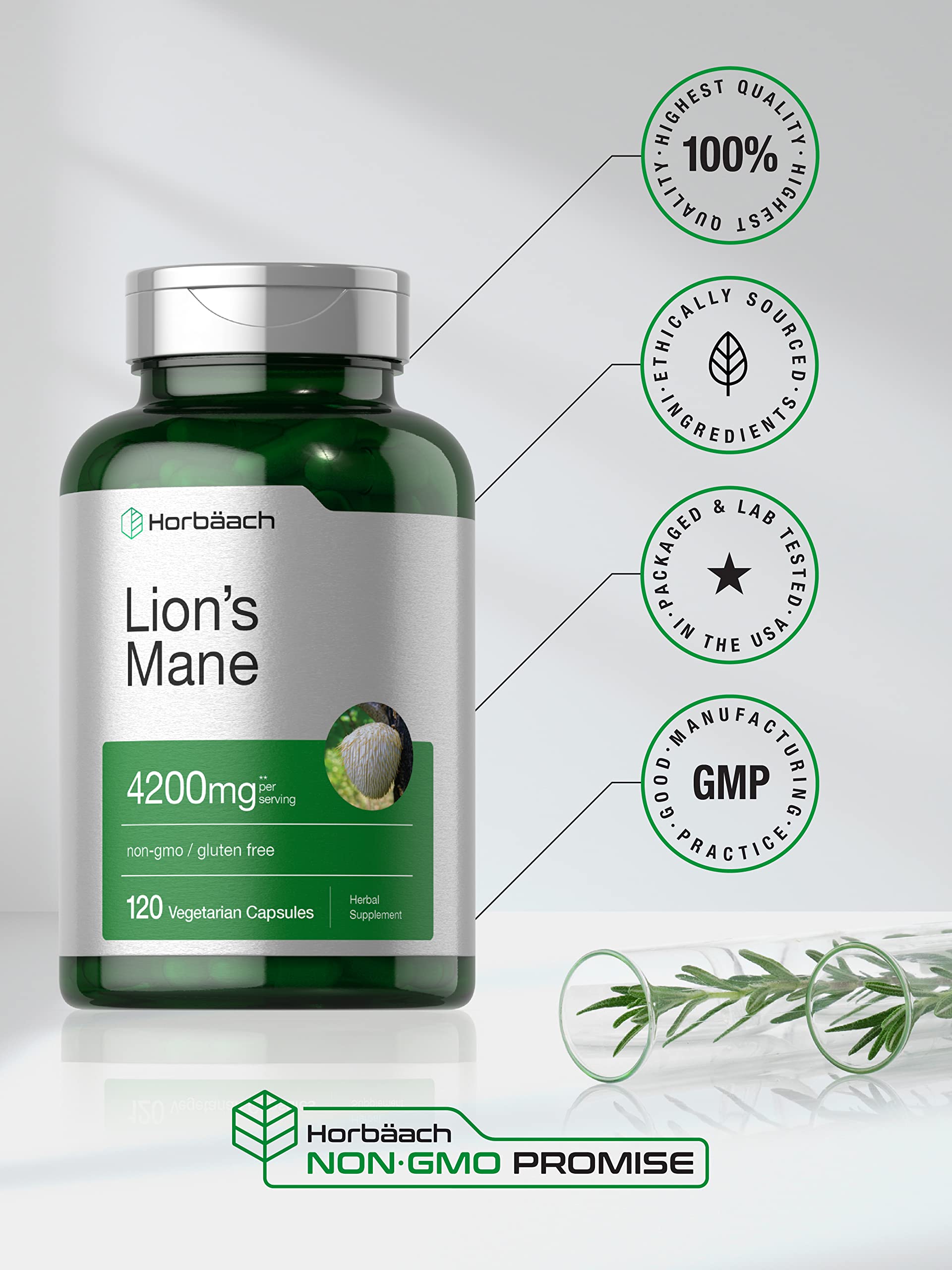 Horbäach Lions Mane Mushroom Extract | 4200mg | 120 Capsules | Vegetarian Horbäach Au supplements