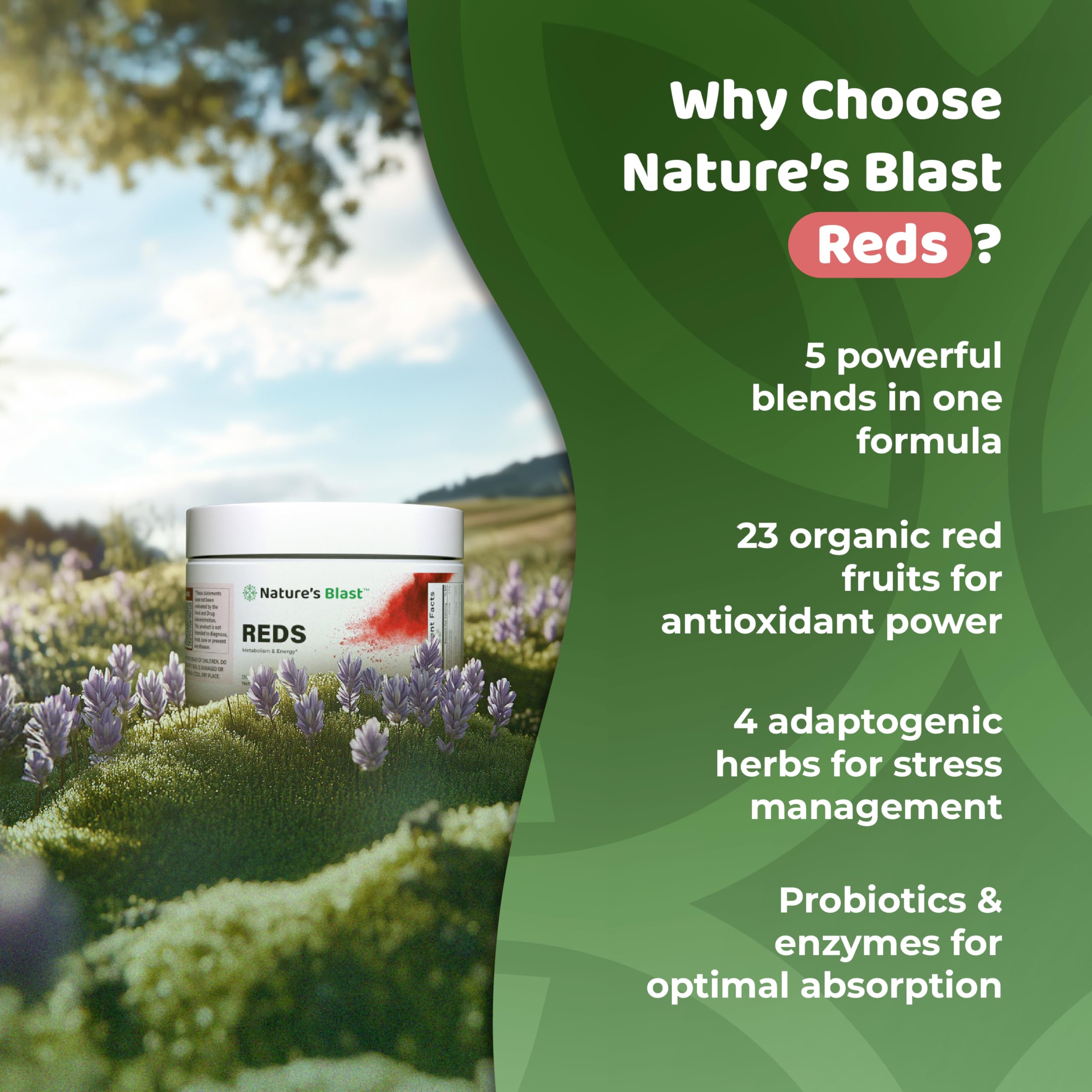NATURES BLAST Reds - Metabolism and Energy Superfood Powder with 23 Red Fruits, 4 Adaptogens, Probiotics & Enzymes - Vegan Antioxidant Blend, 1 Bottle NATURES BLAST Au supplements