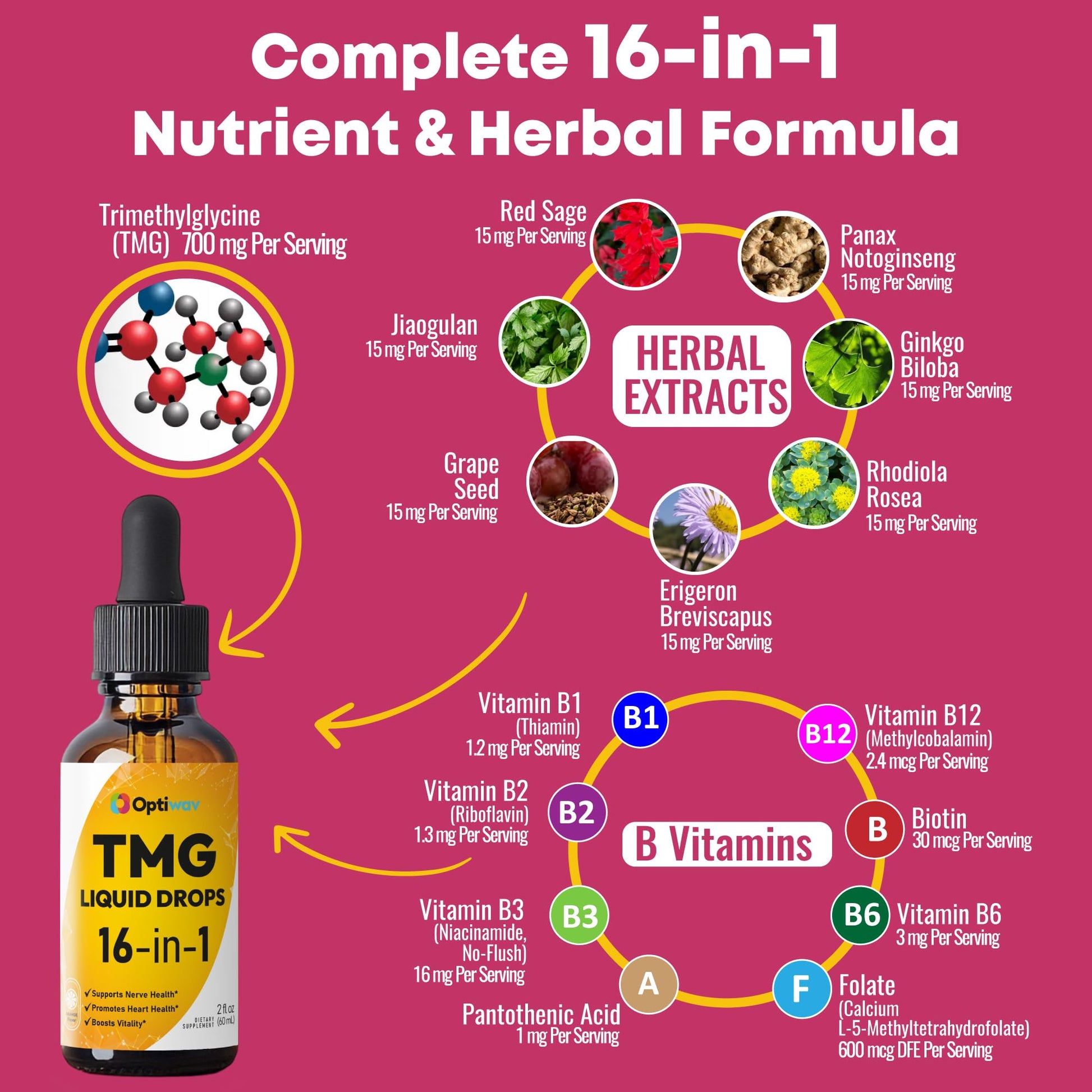 Optiwav TMG Trimethylglycine Liquid Drops - Betaine High Absorption Methylated Vitamins Supplement for Homocysteine Methylation & Heart Health Support - Orange Flavor Gluten Free Vegan - 2 fl oz Optiwav Au supplements