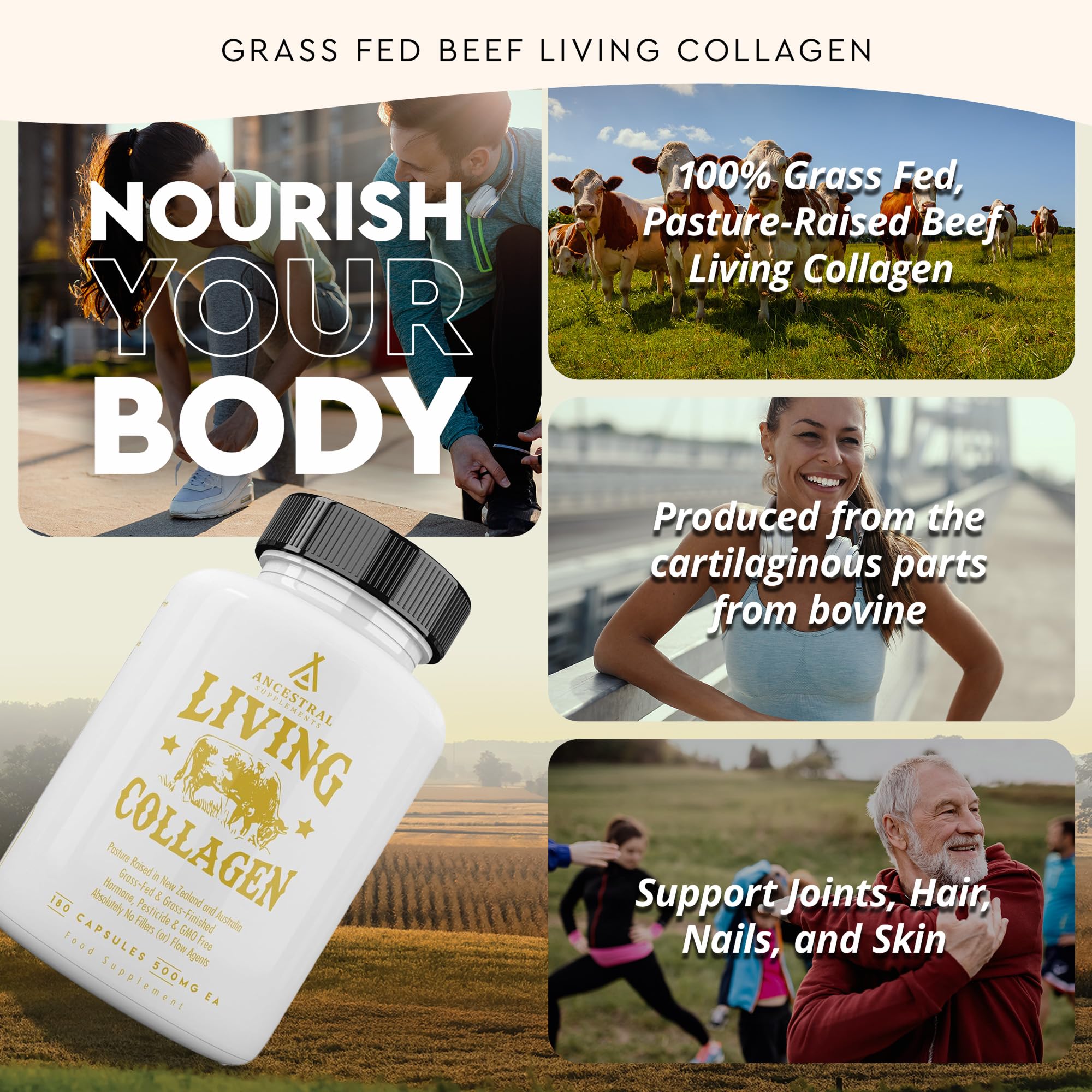 Ancestral Supplements Grass Fed Beef Living Collagen Nutritional Powder Supplement, 3000mg, Promotes Healthier, Younger Looking Skin, Hair, Nails and Joints, Type II, 180 Capsules Ancestral Supplements Au supplements