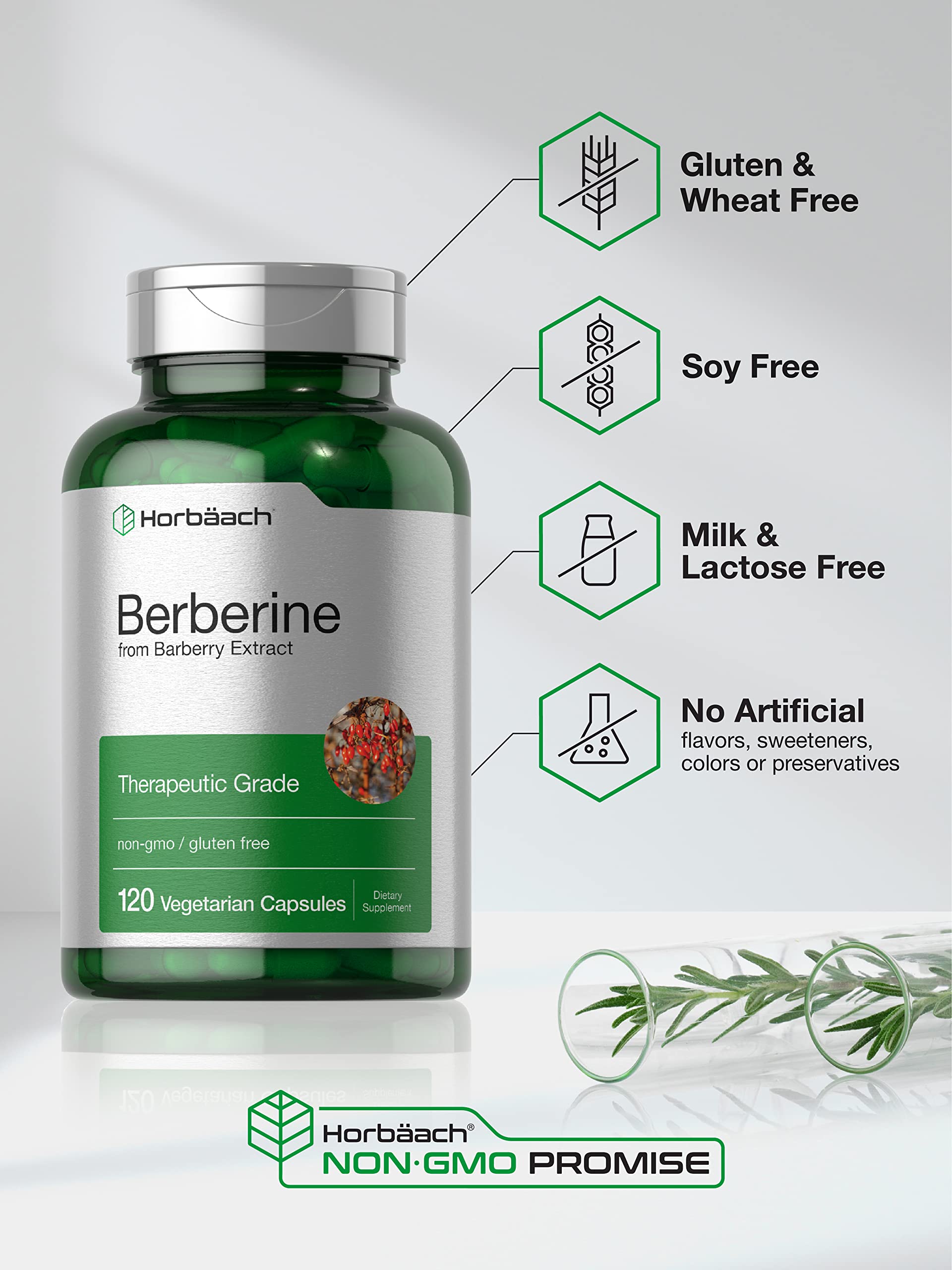 Berberine Supplement | 120 Capsules | Berberine HCl from Barberry Extract | Non-GMO Horbäach Au supplements