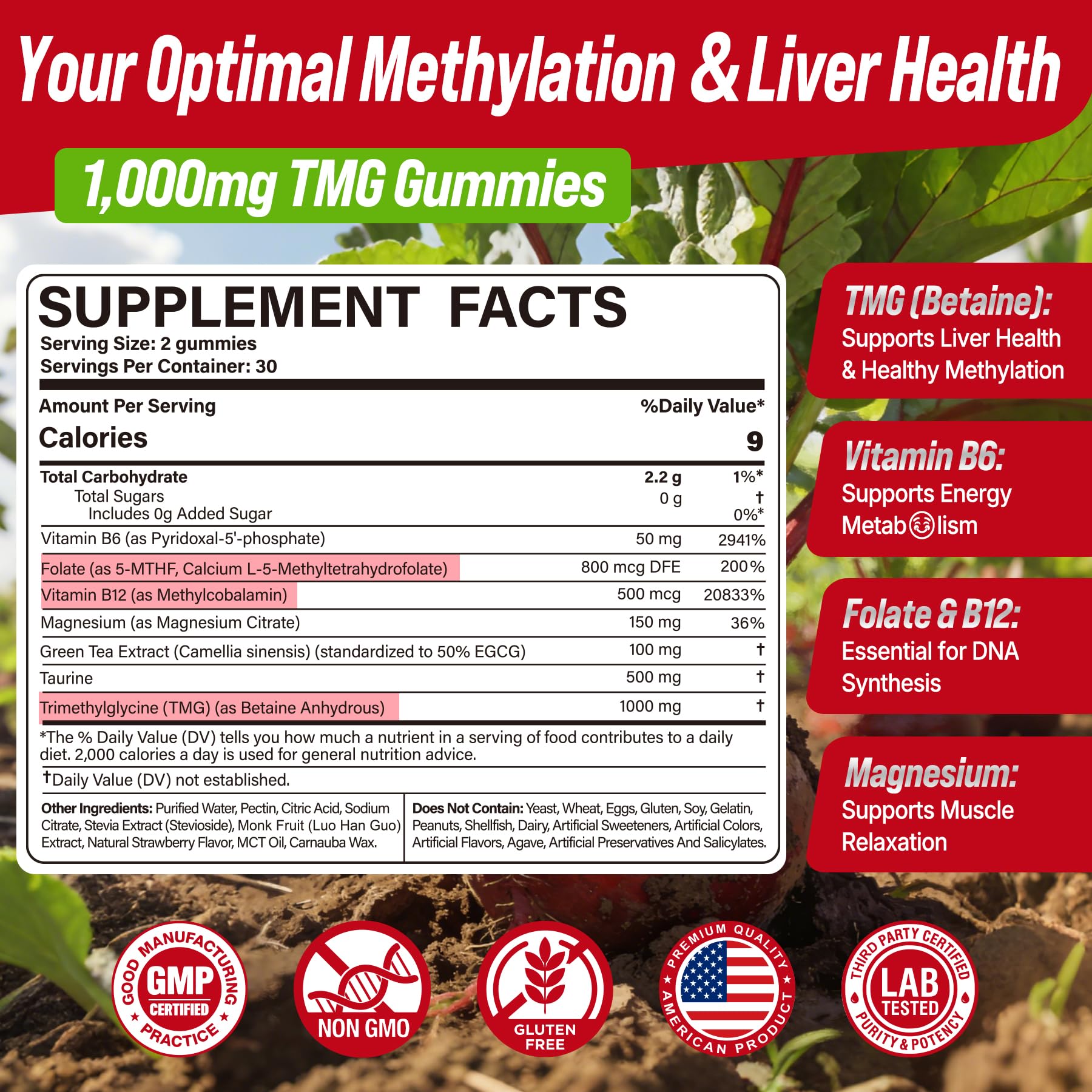 2Pack TMG Gummies 1000mg Betaine Anhydrous + Methylated Multivitamin & B Complex Methylated(Methylfolate B12 B6), Magnesium, Taurine - Essential Trimethylglycine for Homocysteine Levels, Brain, Energy Nextdia Au supplements