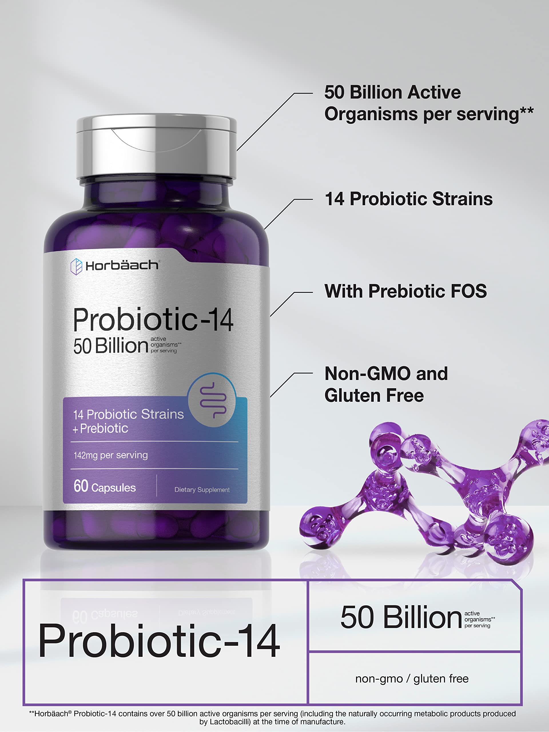 Horbäach Probiotics with Prebiotics | 60 Capsules | 50 Billion Active Organisms | Non-GMO Horbäach Au supplements