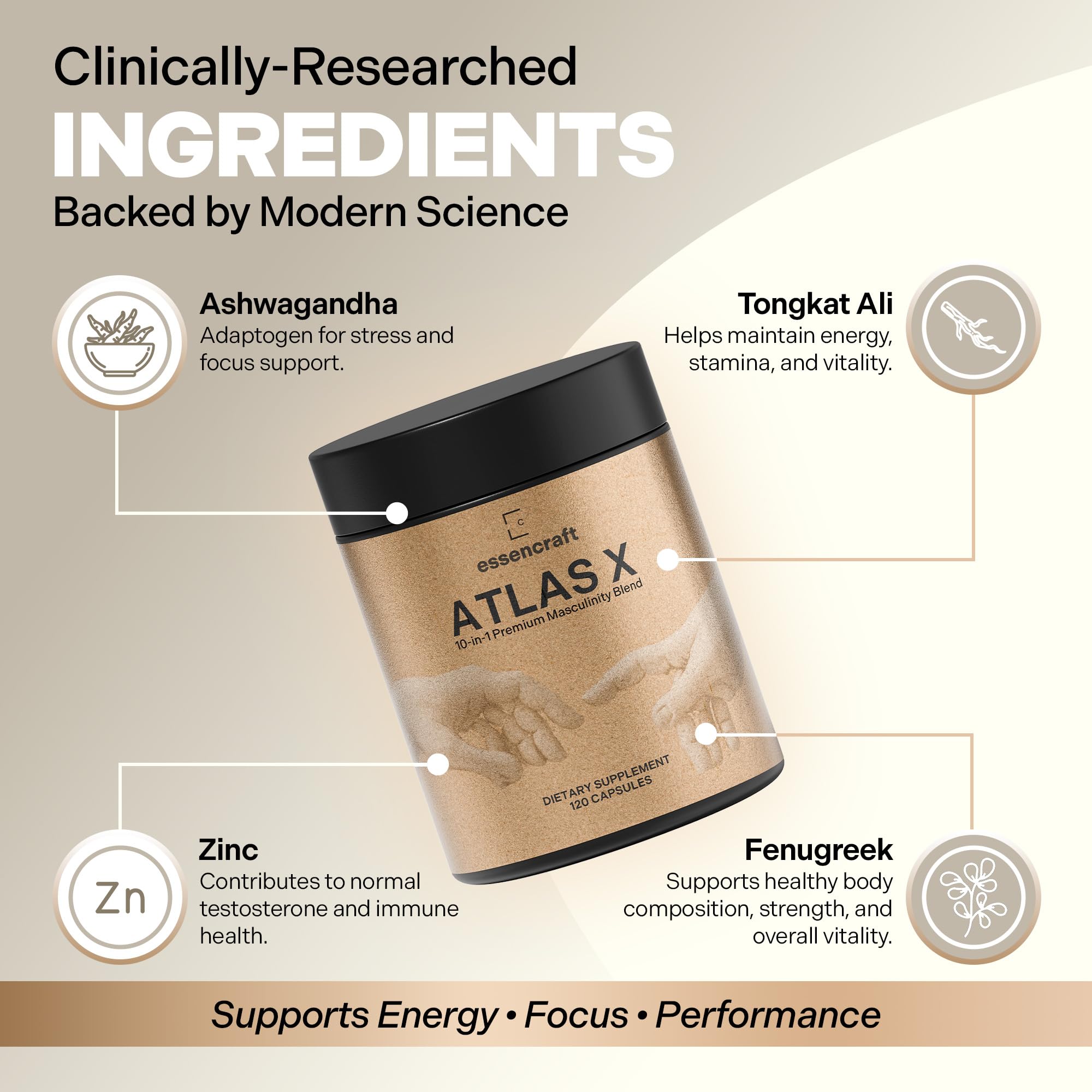 Essencraft Atlas X Testosterone Supplement for Men – 10-in-1 Natural Testosterone Booster & Muscle Booster w/Shilajit, Zinc, Tongkat Ali, & More (120 Capsules) Essencraft Au supplements