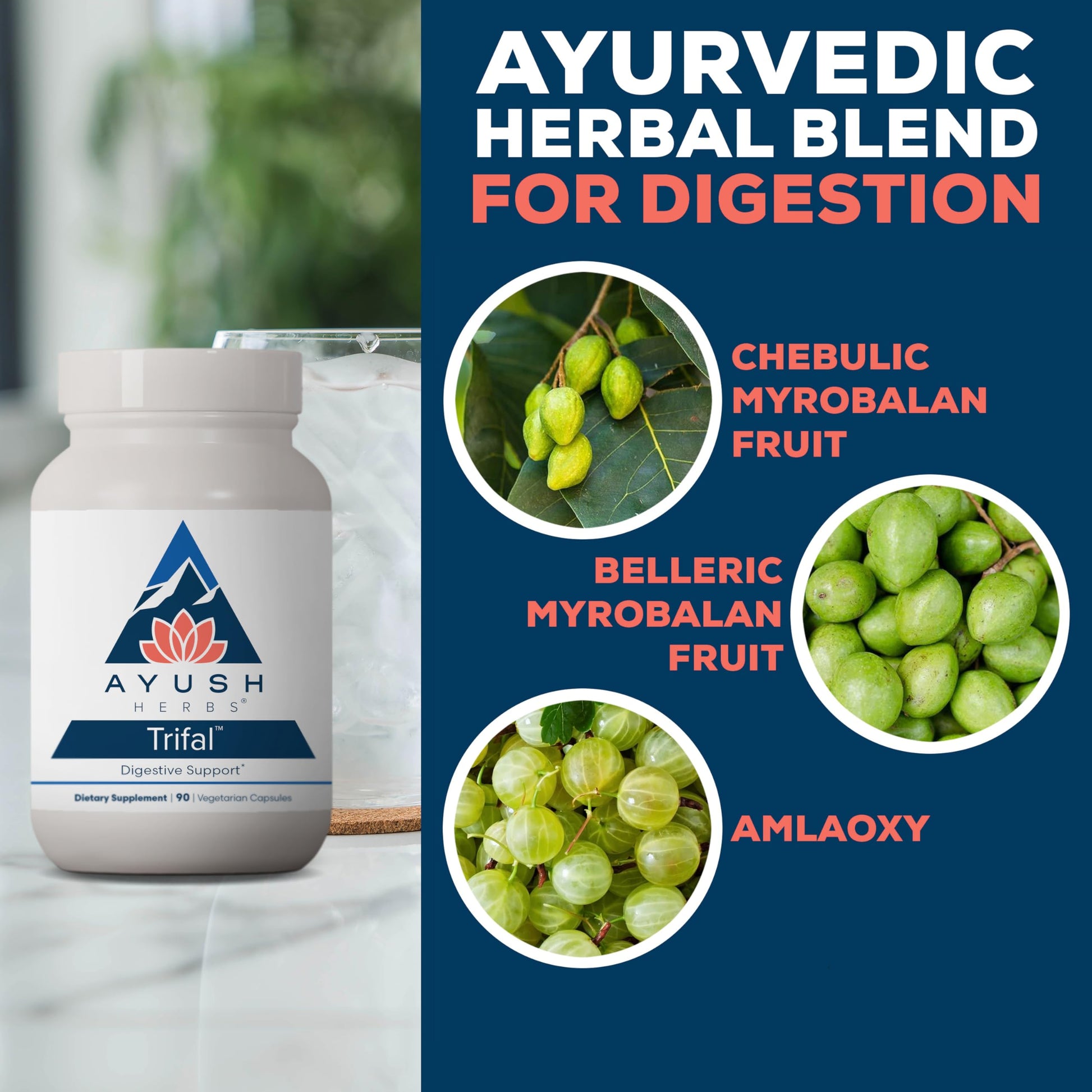 Ayush Herbs Trifal Digestive Support with Amla - Triphala Supplement for Women & Men, Promotes Balanced Digestion, Antioxidant Rich, Made with Organic Ingredients - 90 Vegetarian Capsules (1 Count) Ayush Herbs Au supplements