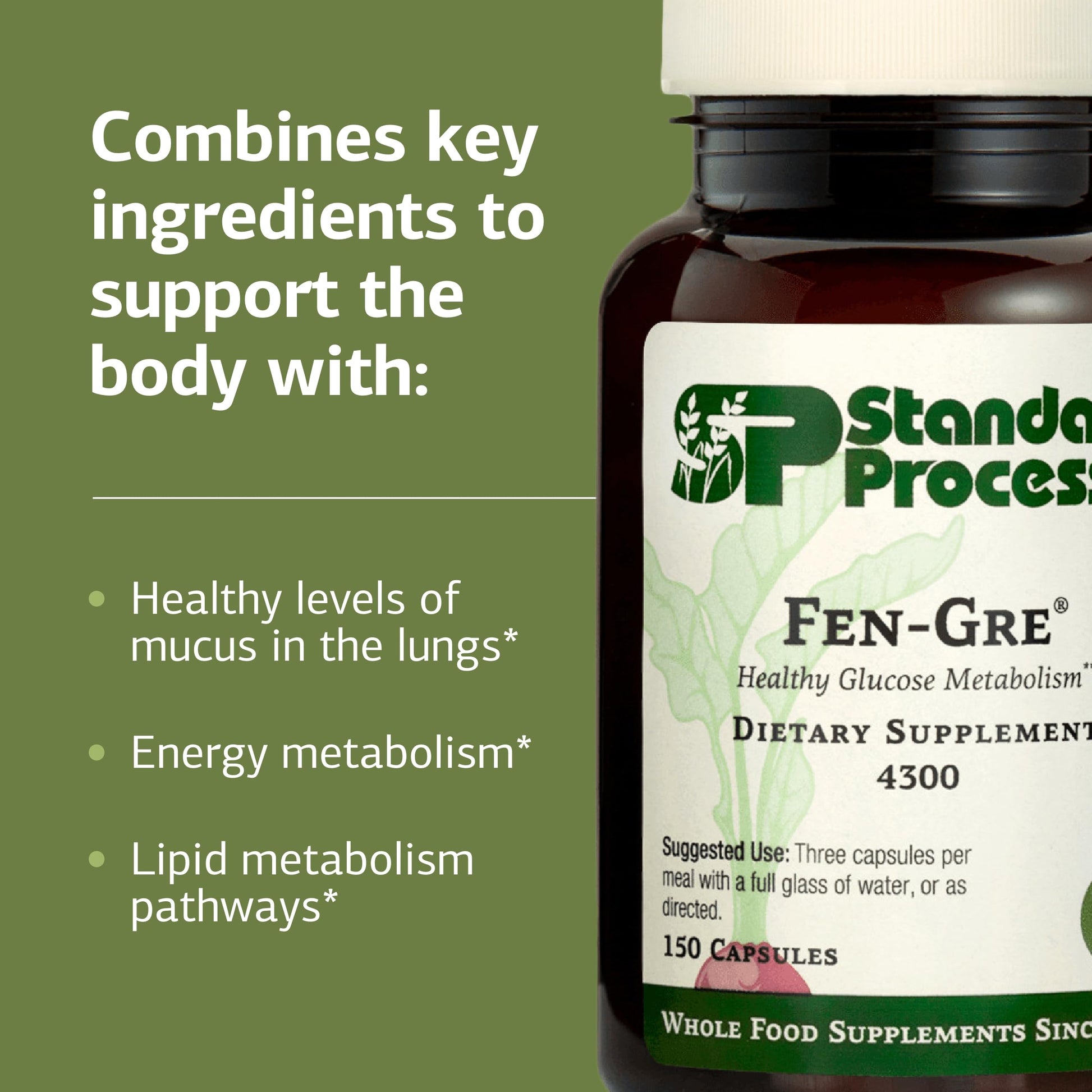 Standard Process Fen-Gre - Supports Respiratory Support & Healthy Metabolism - Aids Healthy Levels of Mucus & Phlegm - Supports Lung Health & Bronchial Tubes - Gluten-Free & Non-Dairy - 150 Capsules Standard Process Inc. Au supplements