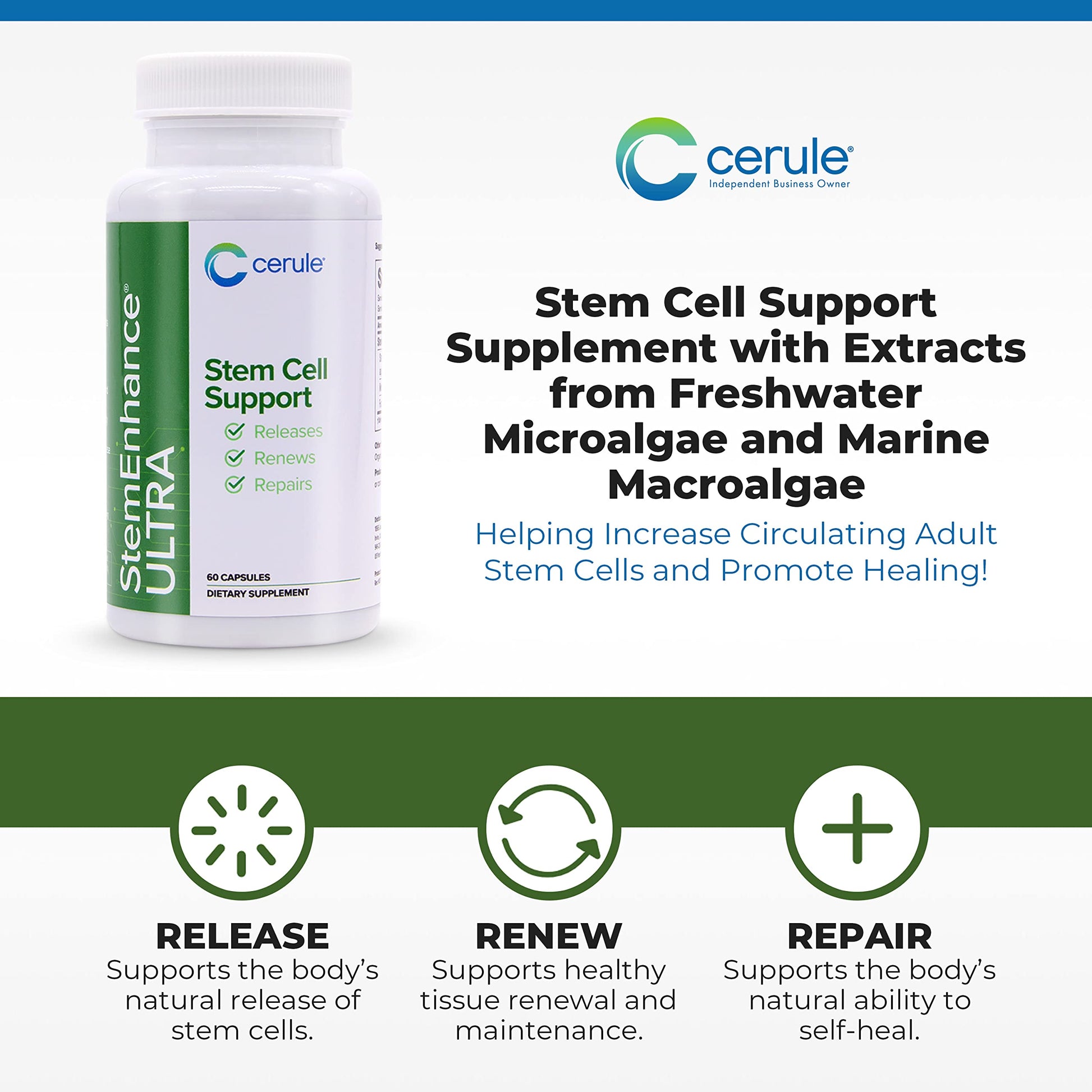 Cerule StemEnhance Ultra Natural Stem Cell Support Supplement – Freshwater Microalgae and Marine Macroalgae Extracts for Cellular Renewal, Immune Function, Energy, and Tissue Recovery – 60 Capsules Cerule Au supplements