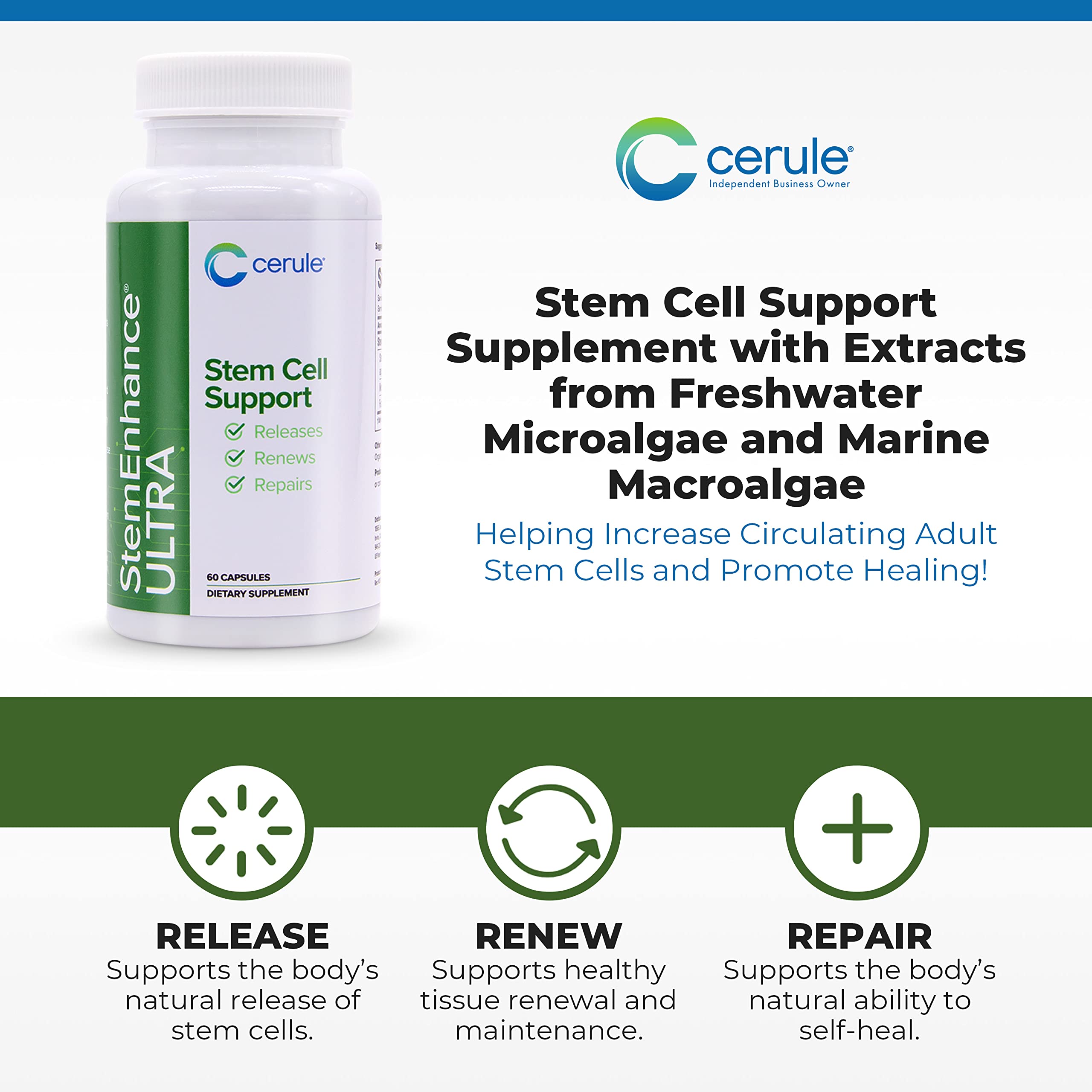 Cerule StemEnhance Ultra Natural Stem Cell Support Supplement – Freshwater Microalgae and Marine Macroalgae Extracts for Cellular Renewal, Immune Function, Energy, and Tissue Recovery – 60 Capsules Cerule Au supplements