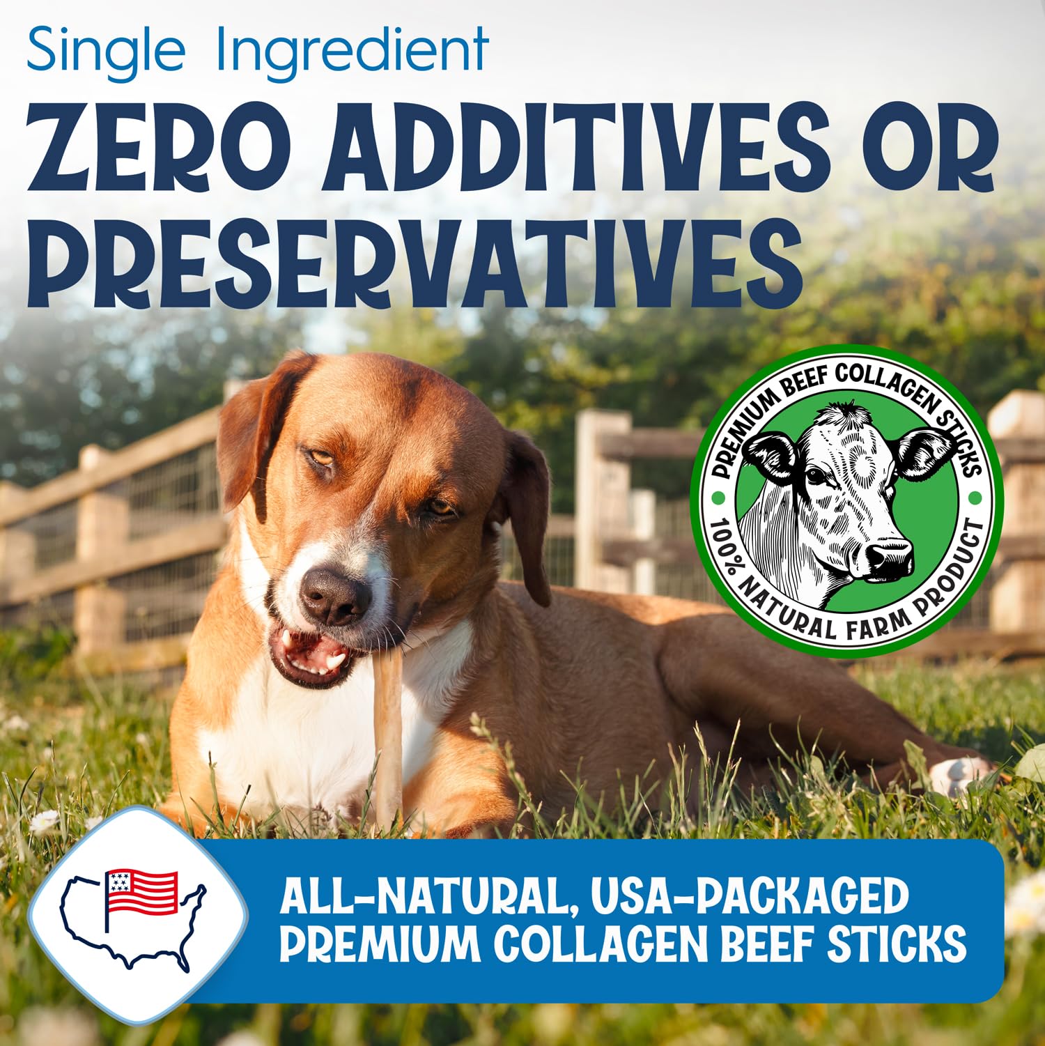 FETCHERONI 6" Collagen Sticks for Dogs – Low Odor Long-Lasting Bully Stick & Rawhide Alternative, Single Ingredient Beef Bone, High Protein Dental Treat, Vet Approved, Improves Joint Health – 20 Pack FETCHERONI Au supplements