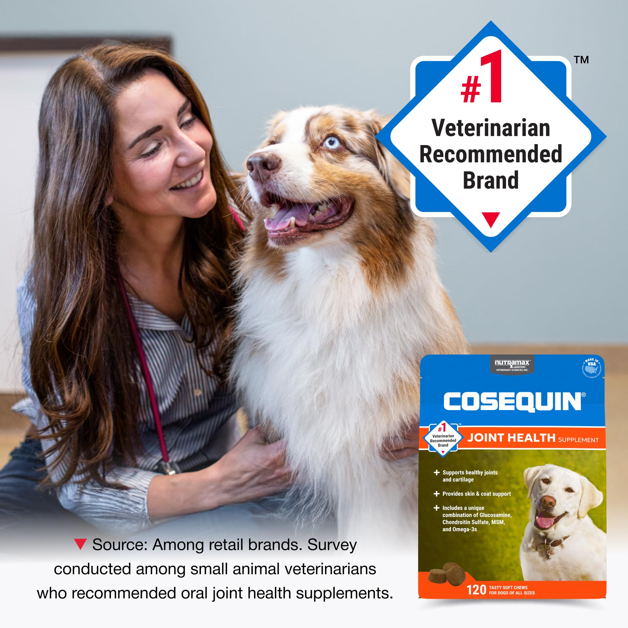 Nutramax Cosequin for Dogs Joint Health Supplement, Contains Glucosamine, Plus Chondroitin, MSM and Omega-3s, Supports Joint and Skin and Coat Health, Soft Chews, 120 Count Nutramax Laboratories Au supplements
