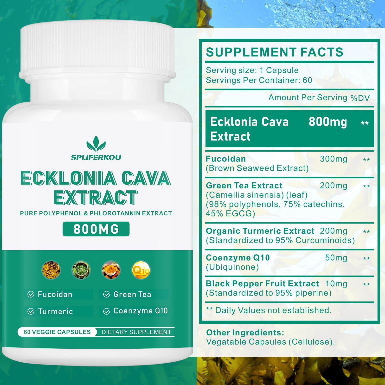 Spliferikou Ecklonia Cava Extract, 800mg, 60 Veggie Capsules with Fucoidan, Green Tea, Turmeric, CoQ10, Dietary Supplement Spliferkou Au supplements