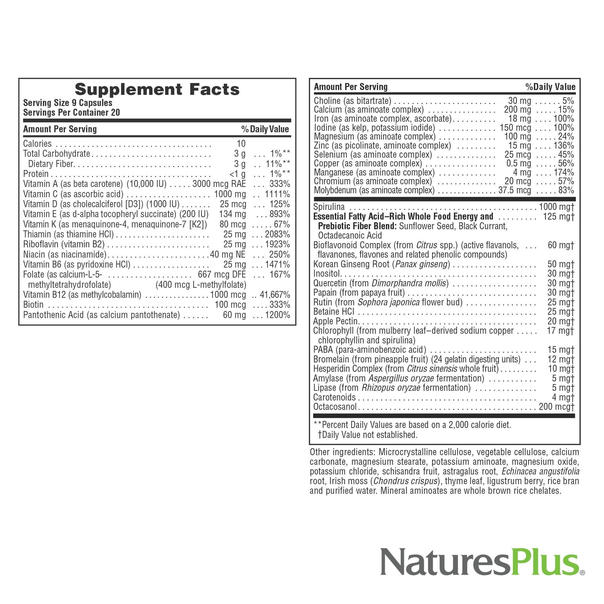 NaturesPlus Source of Life - 180 Capsules - Multivitamin & Mineral Supplement - Supports Natural Energy & Overall Well-Being - Gluten Free, Vegetarian - 20 Servings NaturesPlus Au supplements