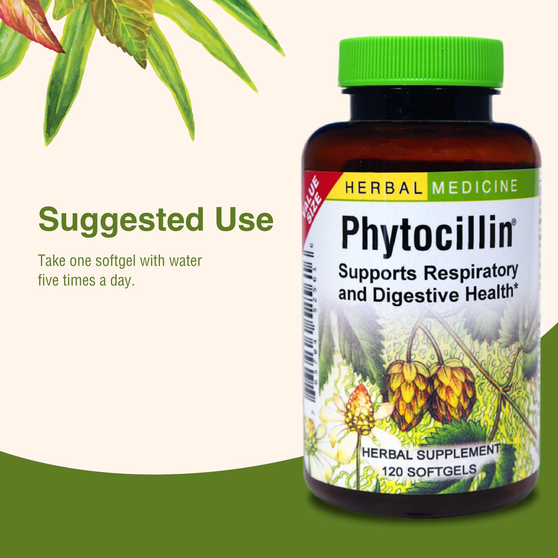 Herbs Etc. Phytocillin - Respiratory & Digestive Health Support Supplement - Herbal Formula to Support Digestion - Support Healthy Breathing - 120 Softgels (120 Servings) Herbs Etc. Au supplements