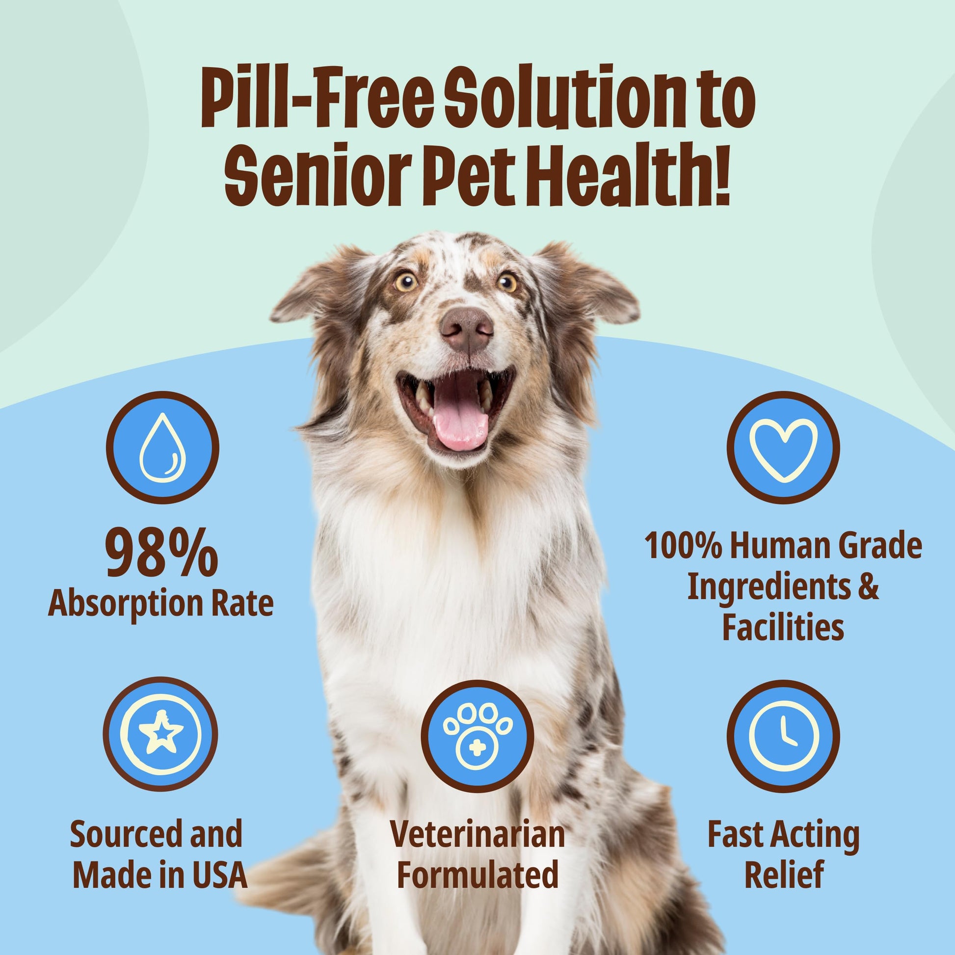 Licks Pill-Free Dog Joint and Heart - Glucosamine & Omega 3 Fish Oil Supplement for Dogs - Inflammation Supplements for Joint Support - Gel Packets - 30 Use Licks Pill Free Au supplements
