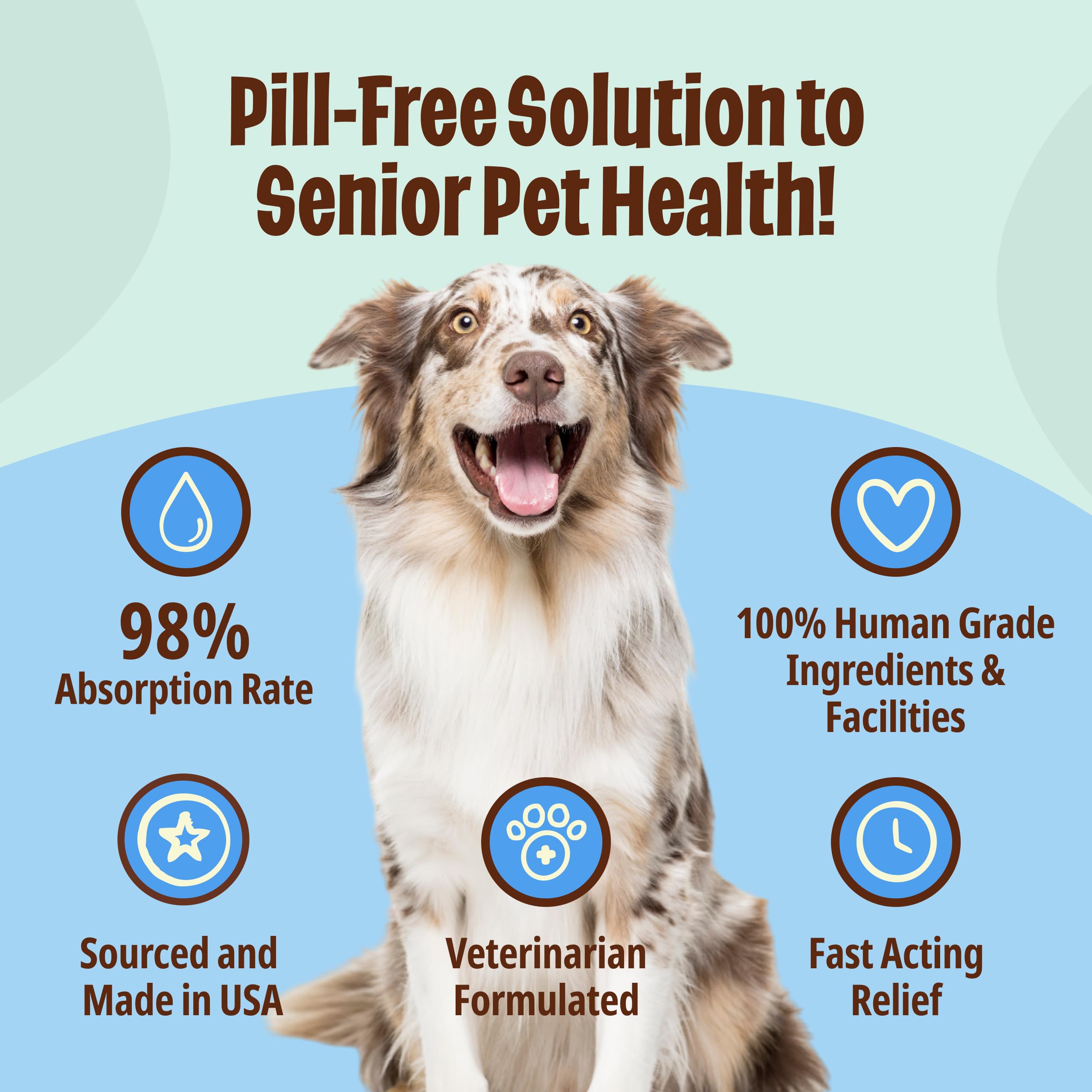 Licks Pill-Free Dog Joint and Heart - Glucosamine & Omega 3 Fish Oil Supplement for Dogs - Inflammation Supplements for Joint Support - Gel Packets - 30 Use Licks Pill Free Au supplements