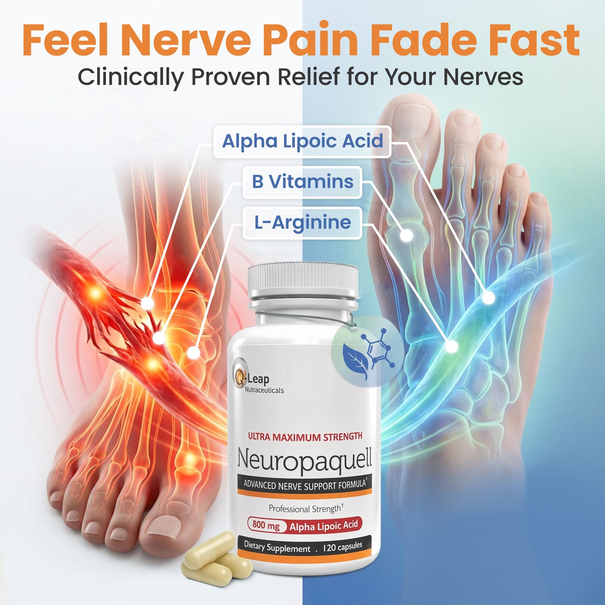 Platinum Health Alpha Lipoic Acid for Neuropathy Nerve Pain Support, Supplement, B Vitamins, L Arginine, All Natural Maximum Strength Neuropaquell for Discomfort in Feet, Hand, Toes,120 Capsules,800mg Platinum Health Au supplements