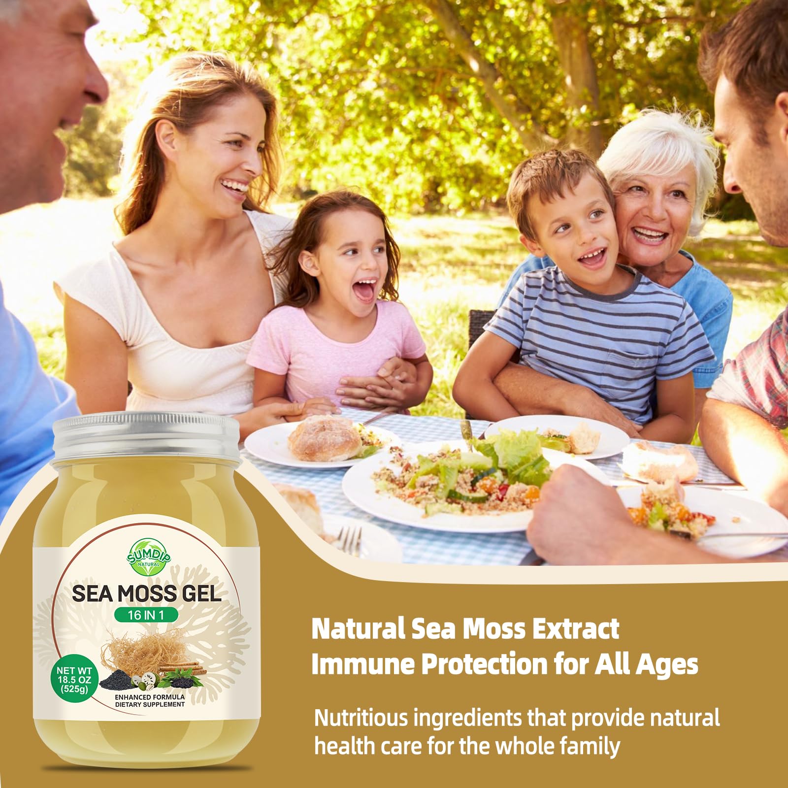 Sea Moss Gel - 18.5 oz Irish Seamoss Gel with Black Seed Oil and Ashwagandha, 16 in 1 Vegan Superfood Rich in Vitamins & Minerals, Raw Wildcrafted Seamoss for Immune & Digestion Support, Original SumDIP Au supplements