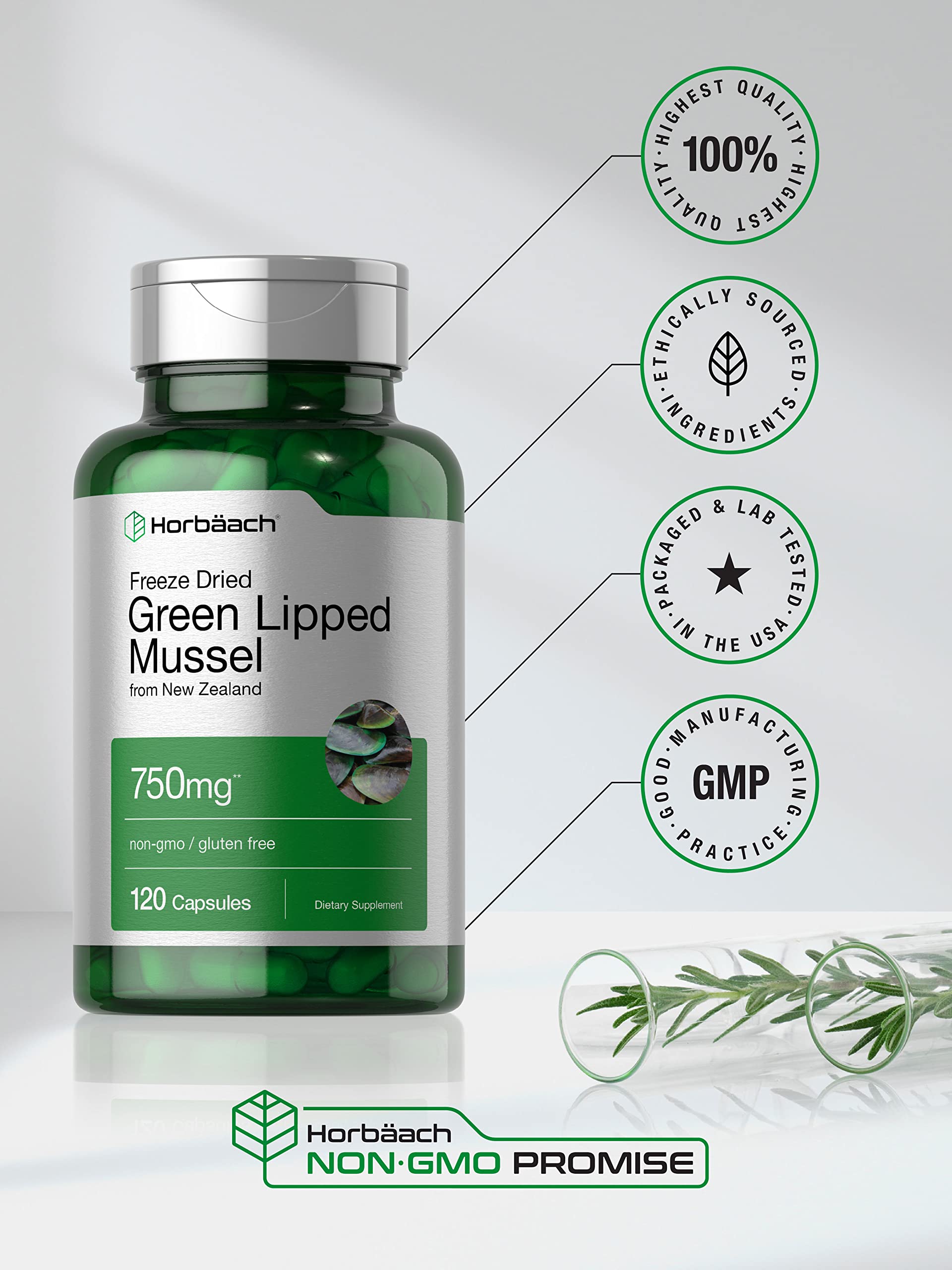 Green Lipped Mussel | 750 mg | 120 Capsules | from New Zealand | Premium Freeze Dried Horbäach Au supplements