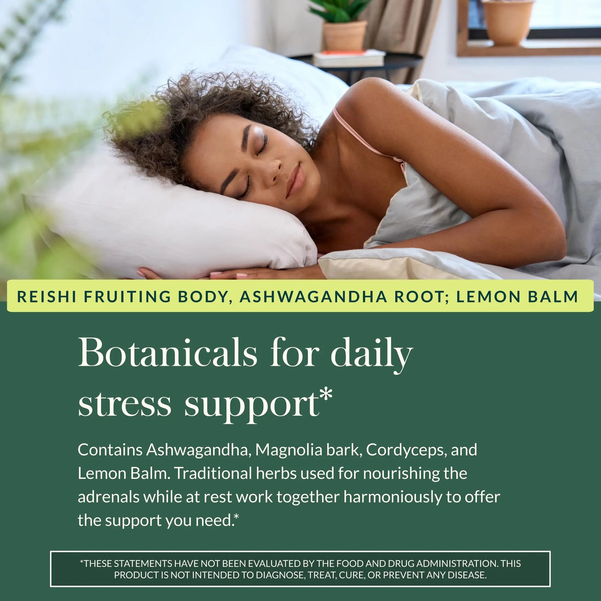 Gaia Herbs Adrenal Health Daily Support, Help Maintain Healthy Energy & Stress Levels*,120 Liquid Phyto-Caps Adrenal Health Nightly Restore, 120 Liquid Phyto-Caps - Bundle Gaia Herbs Au supplements