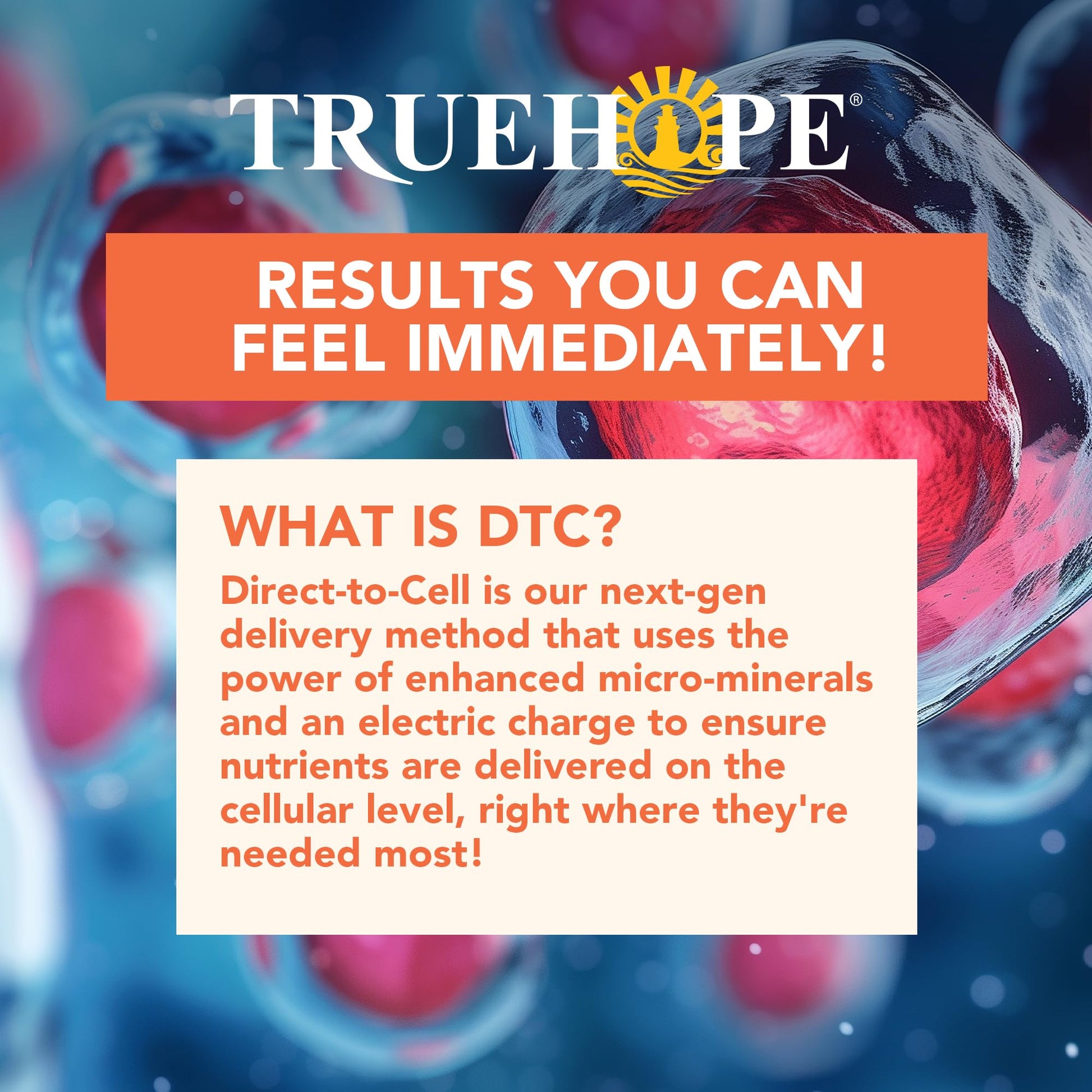 Truehope Multivitamin Nootropic Pouches with Inositol - Once-Per-Day EMPowerplus Ultimate Sticks - 30 Count (Tropical) Truehope Au supplements