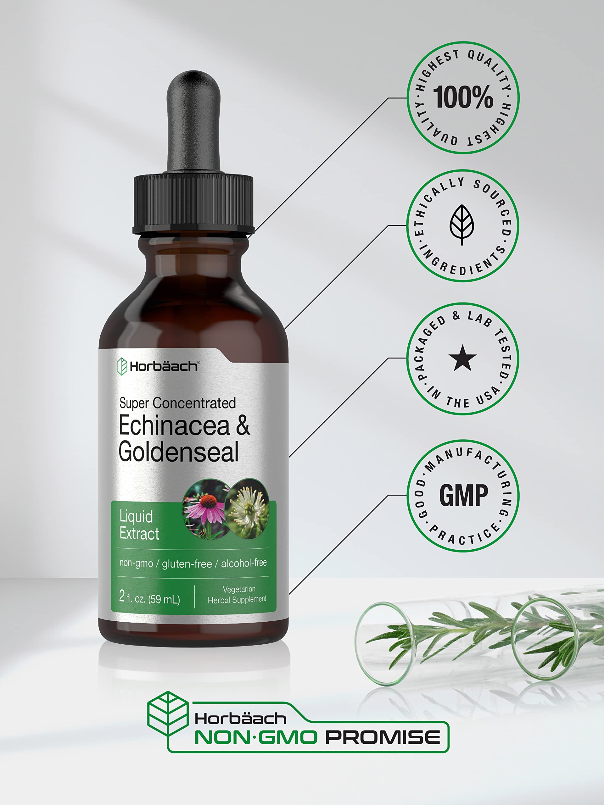 Echinacea Goldenseal Liquid Extract | 2 fl oz | Alcohol Free Tincture Drops | Vegetarian Horbäach Au supplements