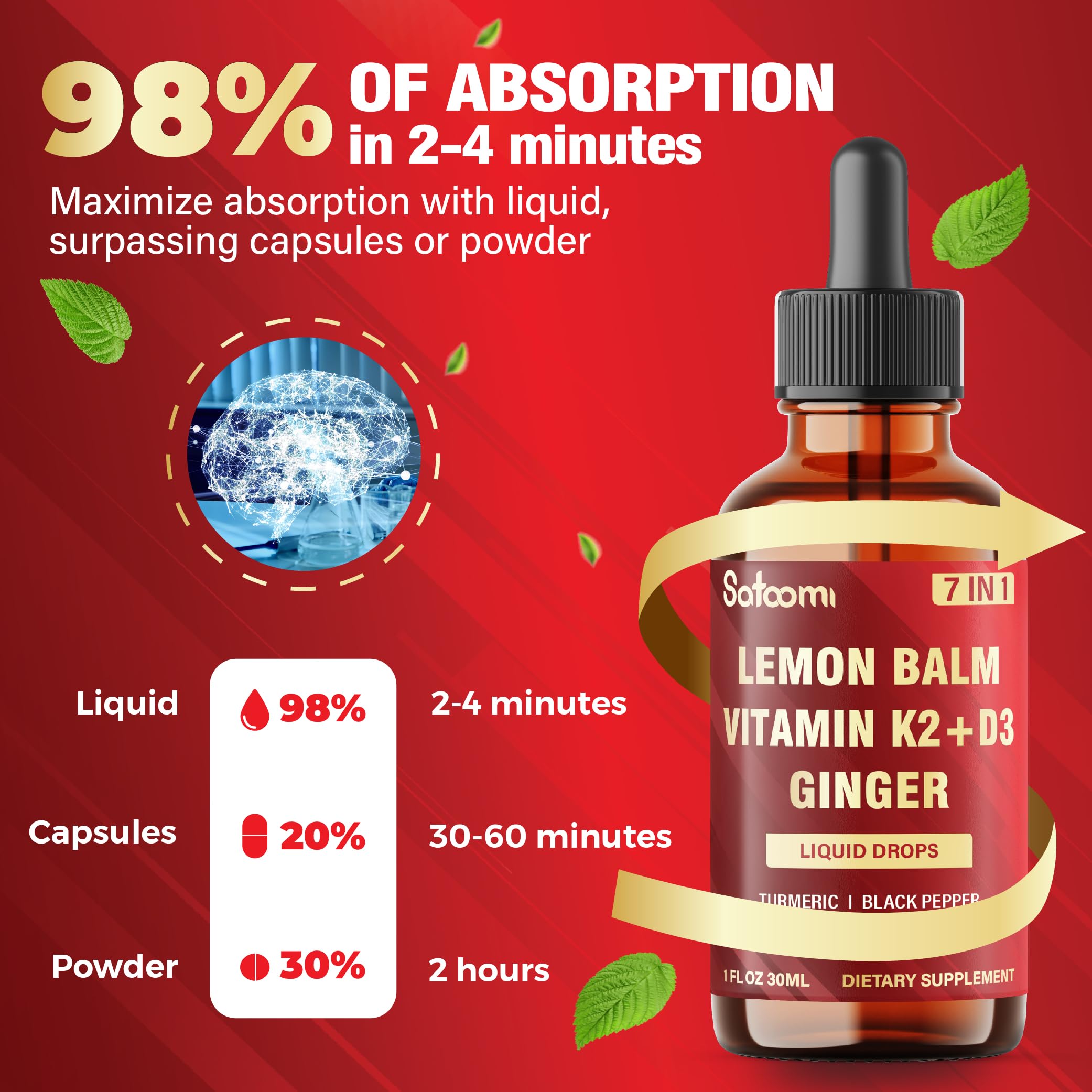 Satoomi 7in1 Lemon Balm Tincture with Vitamin D3, Vitamin K2, Ginger Root, Turmeric, Ceylon Cinnamon and Black Pepper - 1 FL Oz - 60 Day Supply Satoomi Au supplements