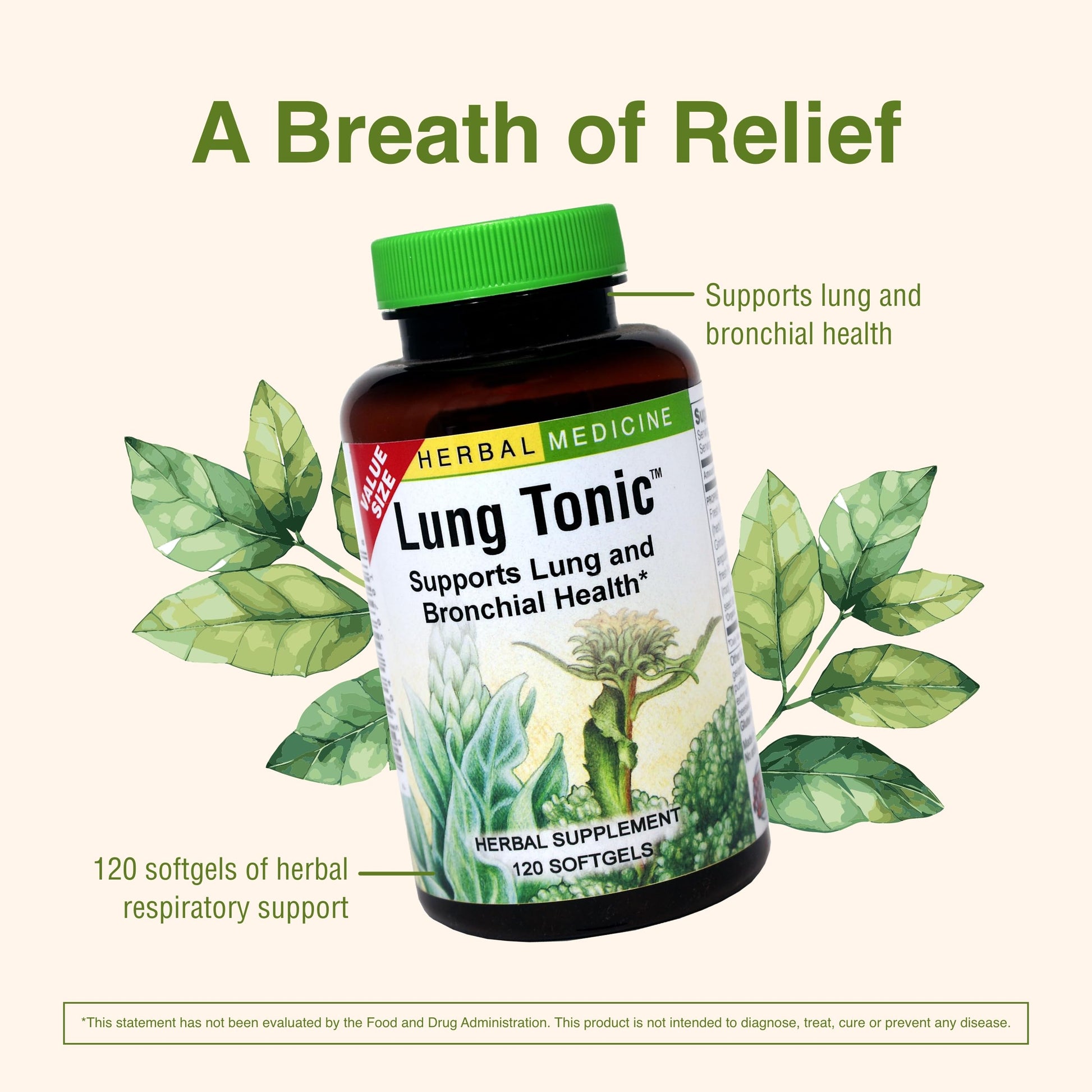 Herbs Etc. Lung Tonic - Lung Supplement for Bronchial Support - Healthy Breathing Support with Mullein, Horehound & Grindelia - 120 Softgels Herbs Etc. Au supplements