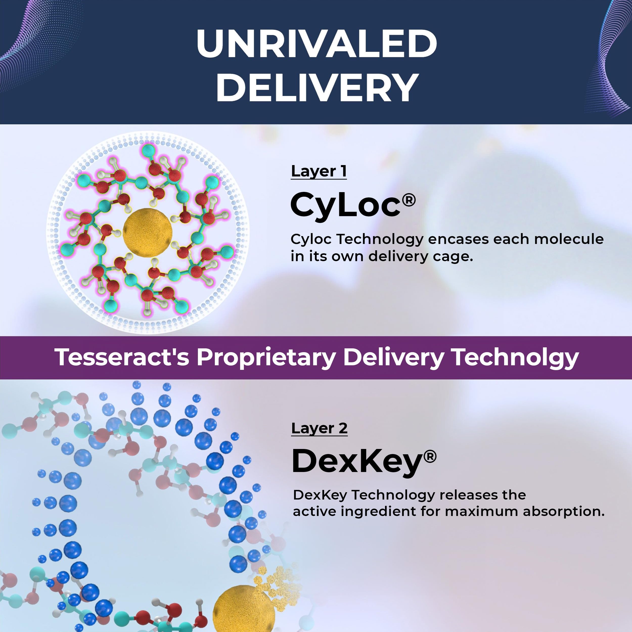 Tesseract Medical Research ProButyrate Gut Health Supplement, Butyric Acid Complex & TetraCumin SR Joint Support Supplement, Sustained Release Tesseract Medical Research Au supplements