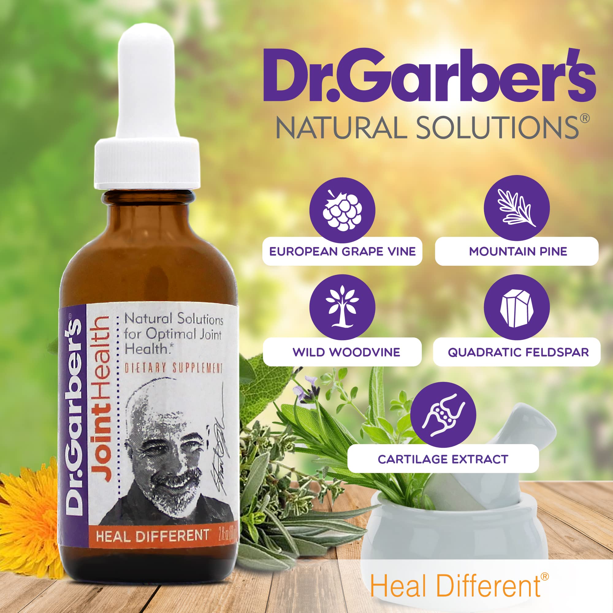 Dr. Garber's Natural Solutions Joint Health Oral Drops - Gemmotherapy Liquid Supplement for Healthy Joint Support & Function, Joint Repair, and Improved Mobility & Flexibility - 60ml DR.GARBER'S Au supplements