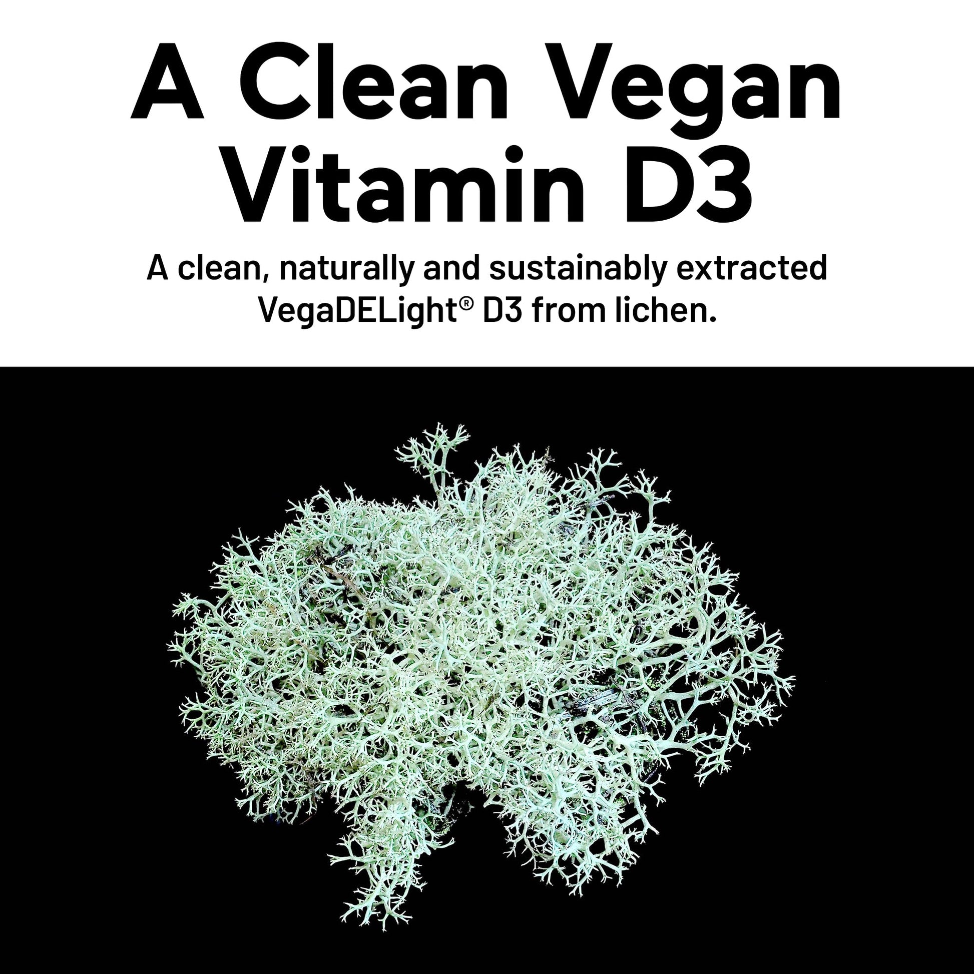 SMARTERNUTRITION Vegan Vitamin D3 5000 IU + Natural Vitamin K2 1100 mcg in Organic Coconut & Olive Oil - D3 K2 Supplement for Immune & Bone Support - 60 Softgels[30 Day Supply] SMARTERNUTRITION Au supplements