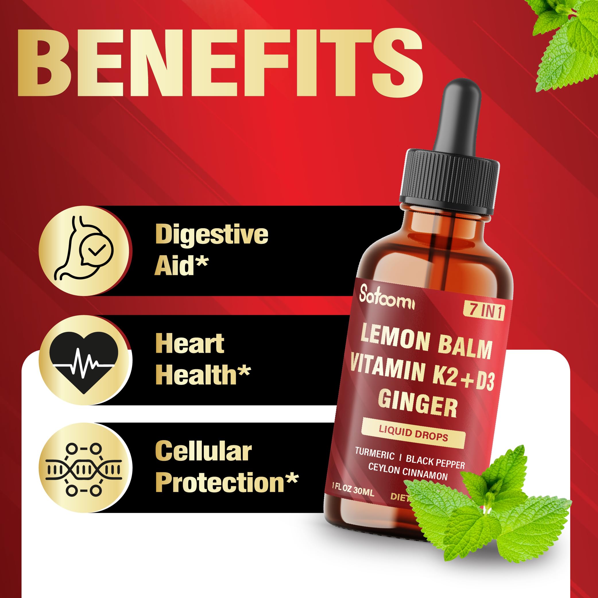 Satoomi 7in1 Lemon Balm Tincture with Vitamin D3, Vitamin K2, Ginger Root, Turmeric, Ceylon Cinnamon and Black Pepper - 1 FL Oz - 60 Day Supply Satoomi Au supplements