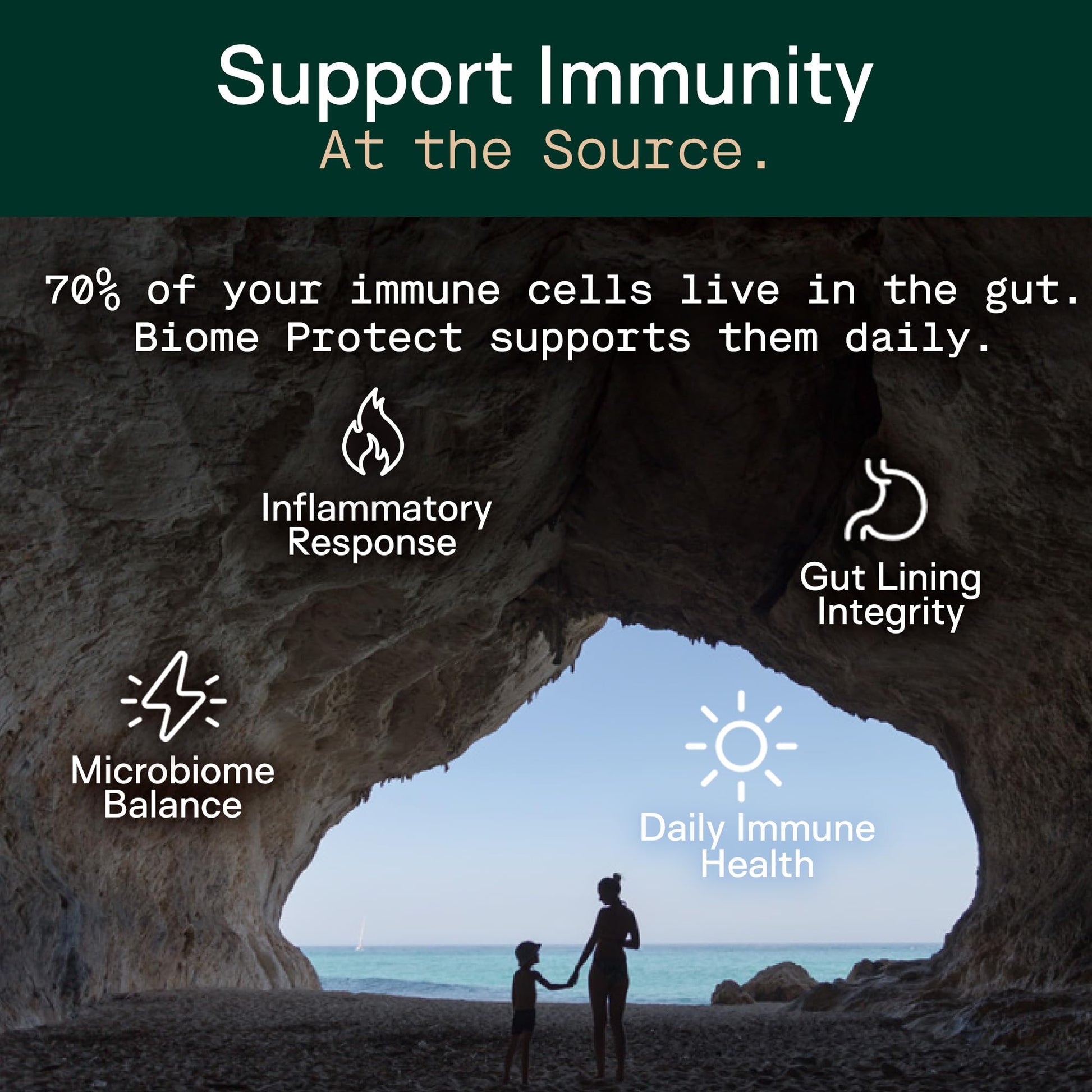 Adapt Naturals 4-in-1 Biome Protect Prebiotics, Probiotics Supplement Postbiotics & Polyphenols for Microbiome, Gut Health & Defense for Women & Men, 30 Day Supply ADAPT NATURALS BY CHRIS KRESSER Au supplements