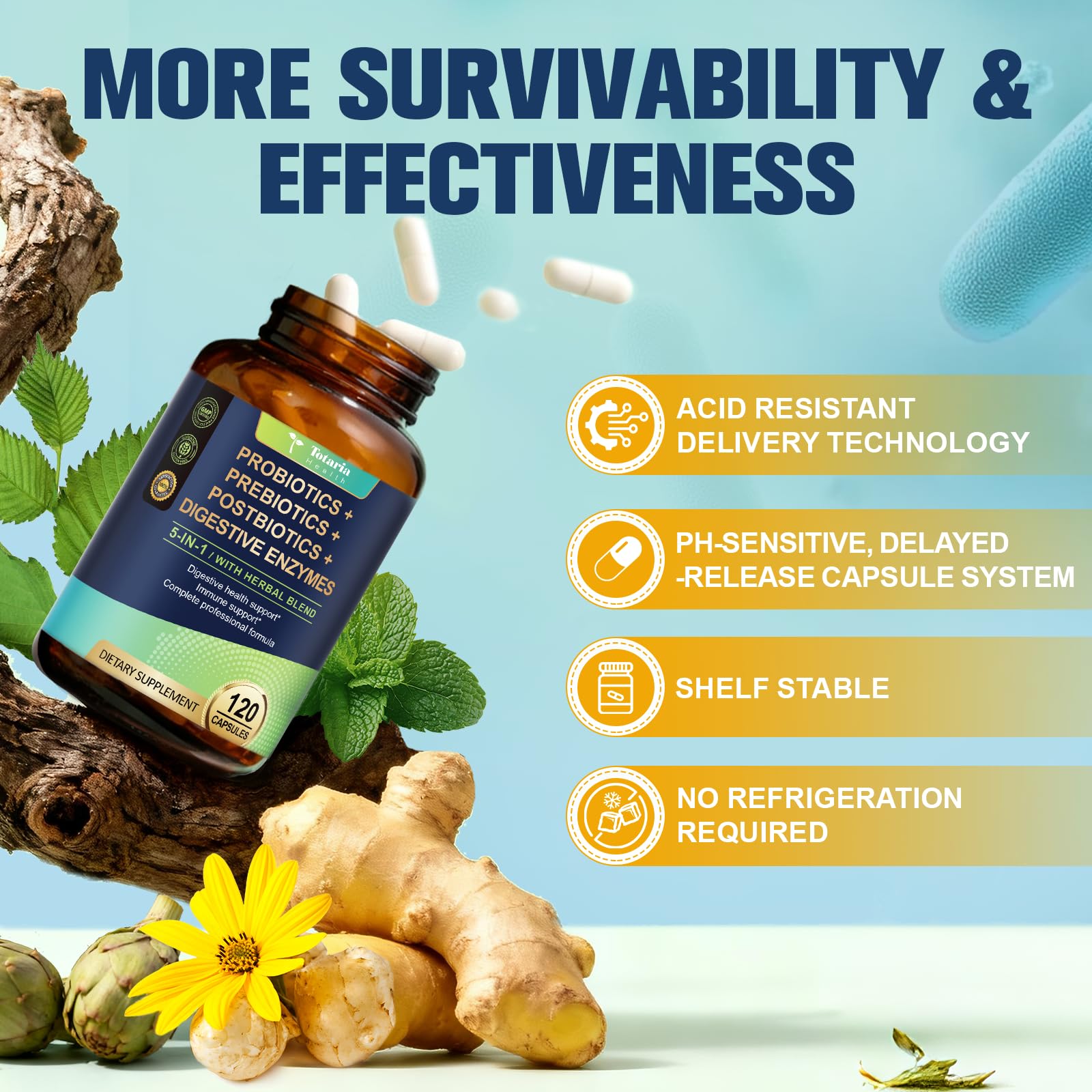 Totaria (2 Packs) 5-in-1 Probiotic Prebiotic & Postbiotic for Women Men, 60 Billion CFU 24 Strains w/Digestive Enzymes, Slippery Elm, Daily Complete Gut Health, Digestive & Immune Support Totaria Au supplements