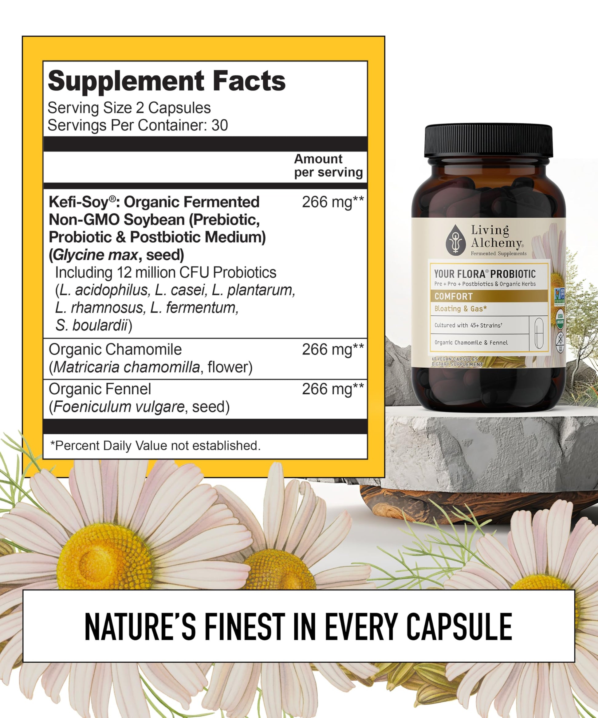 Your Flora Probiotic Comfort – Non-GMO Probiotics with Fermented Soybean, Chamomile, Fennel, Prebiotics, Digestive Enzymes for Digestion & Bloating – Prebiotics, Postbiotics – Living Alchemy, 60 Pcs Living Alchemy Au supplements
