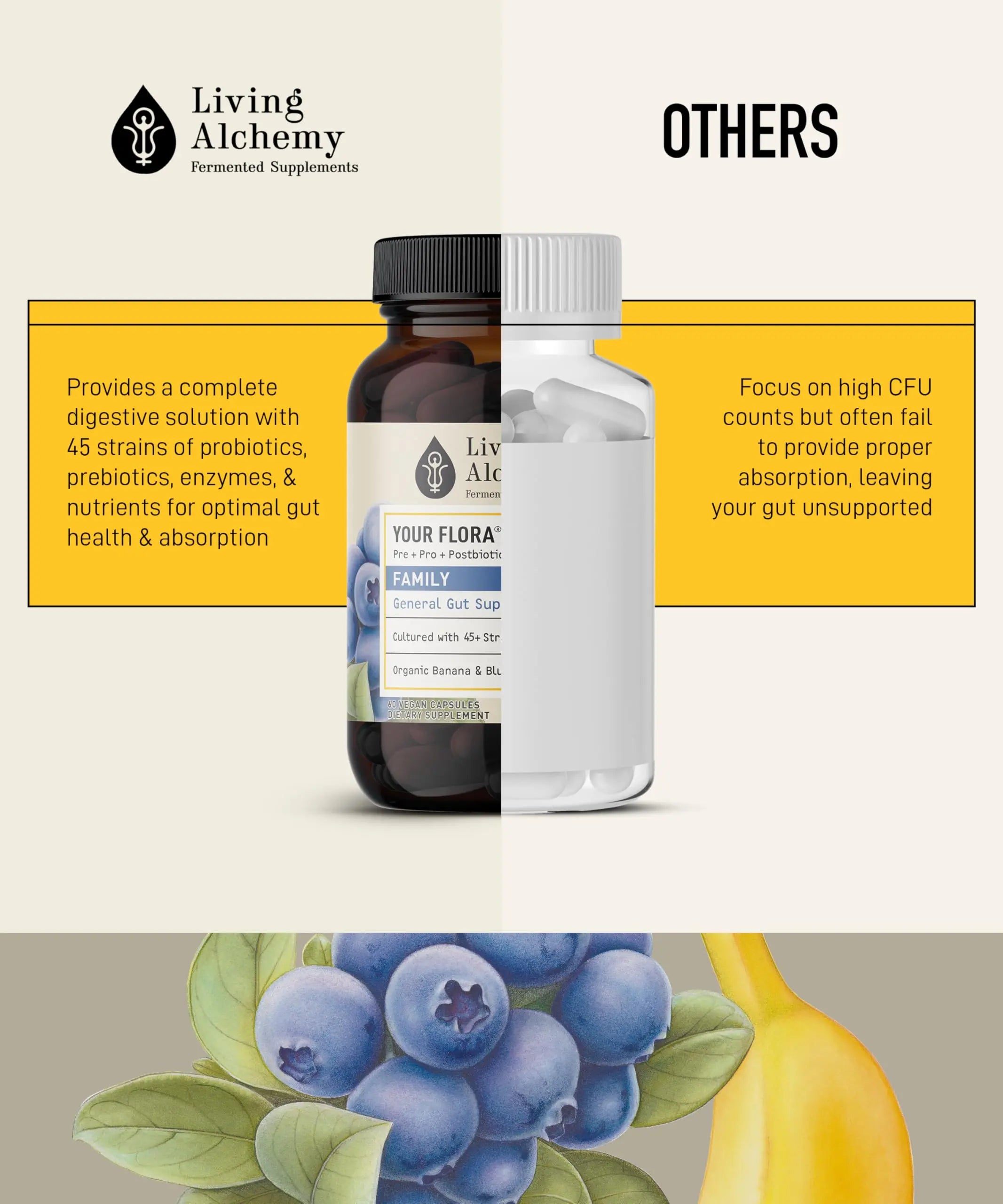 Your Flora Probiotic Family – Non-GMO Probiotics with Fermented Soybean, Banana, & Blueberry for Digestion & Gut Support – Prebiotics, Postbiotics, Digestive Enzymes – Living Alchemy, 60 Capsules Living Alchemy Au supplements