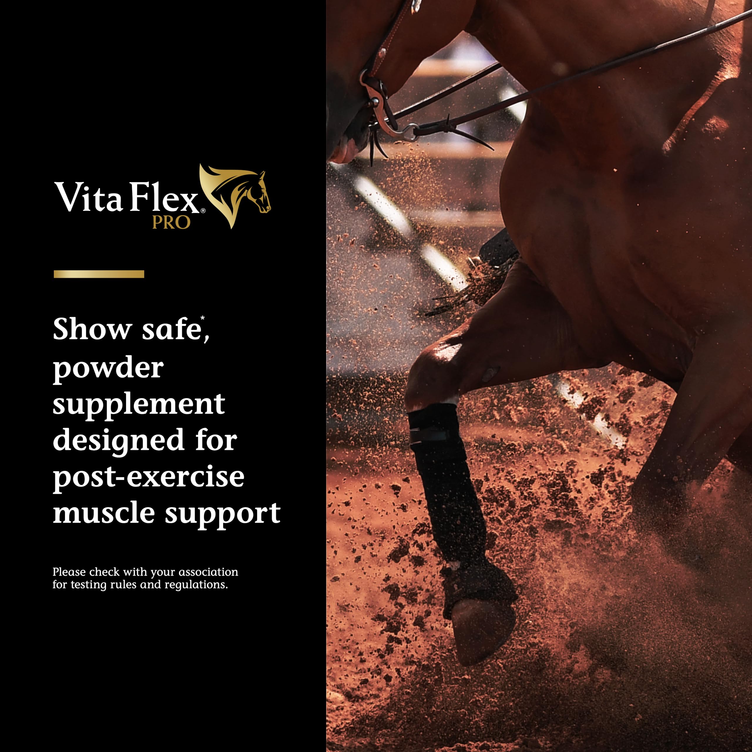 Vita Flex Pro Recovery by the Makers of Lactanase, Post Performance Horse Supplements 40 g, Show Safe Muscle Recovery Supplements, Amino Acids for Horses, Strength & Joint Health Vita Flex Au supplements