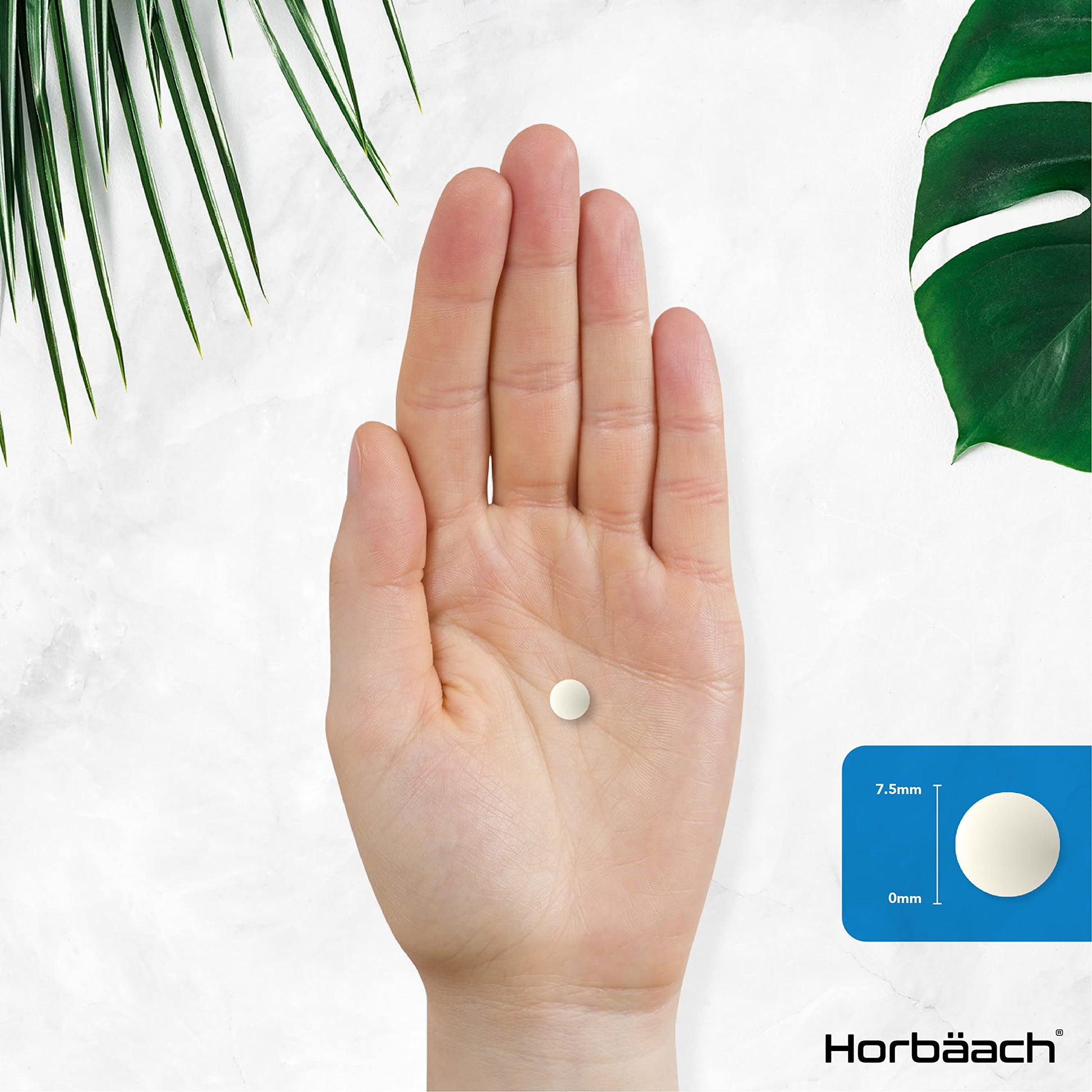 Vitamin K2 MK7 200ug | 365 Vegan Tablets | High Strength Menaquinone MK-7 Horbäach Au supplements