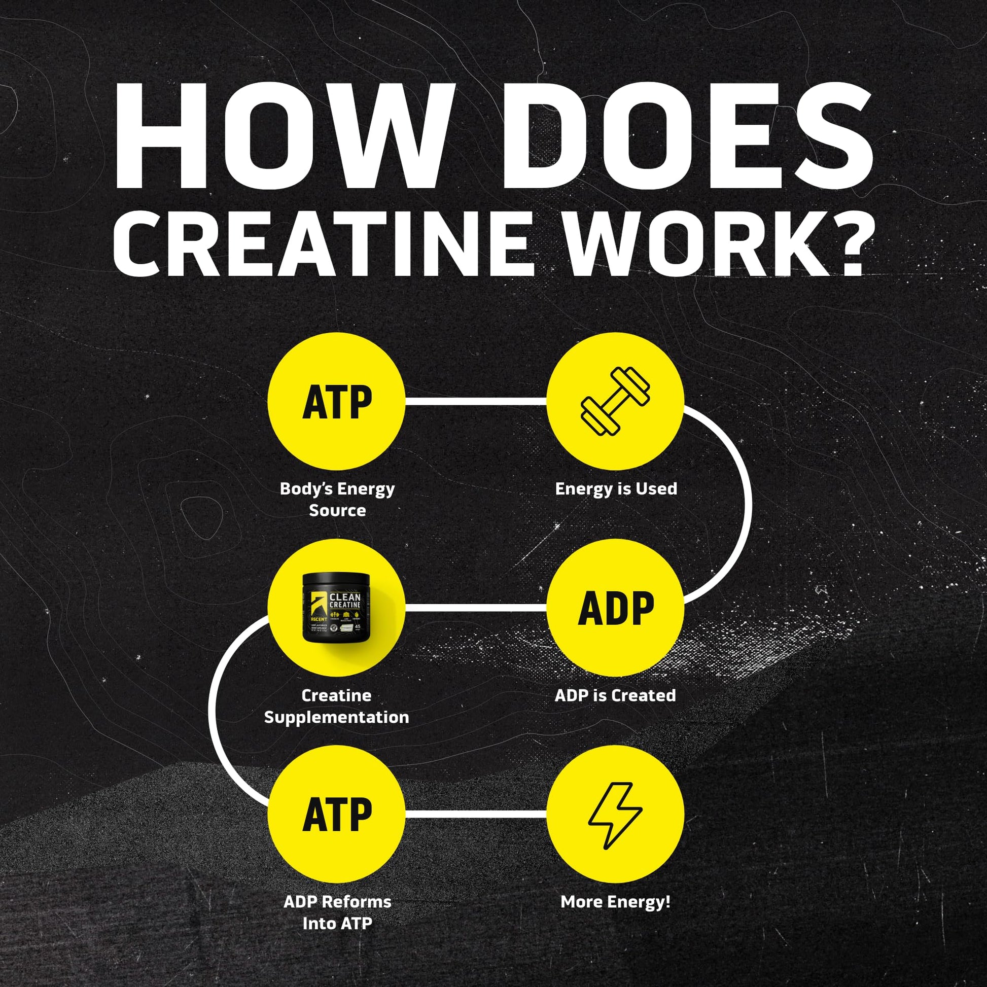 Ascent Clean Creatine Monohydrate Powder - 5G Per Serving, Creapure Supplement - Unflavored, 45 Servings Ascent Au supplements