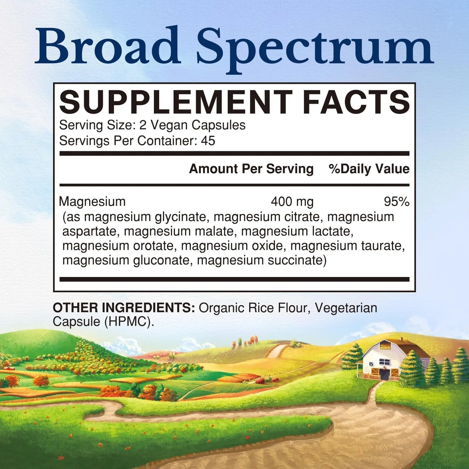Vitalitown 10 in 1 Magnesium Complex Supplement - 400mg Elemental Magnesium Chelated with Glycinate, Citrate, Malate, Taurate & More - for Sleep Heart Energy - Non-GMO, Vegan, 90 Caps Vitalitown Au supplements