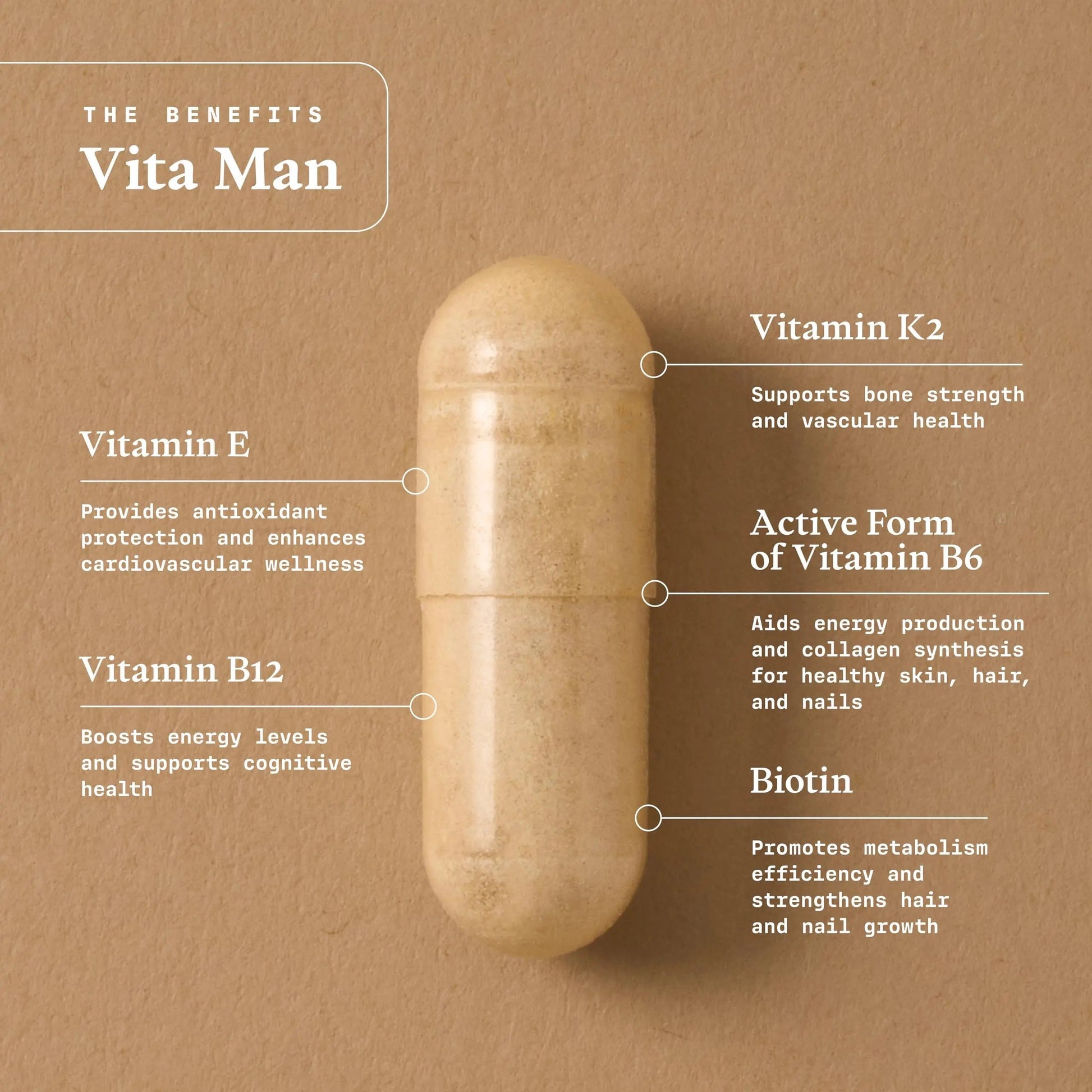 Ultra Life Sport - VITA Man Premium Men's Multivitamin - 30 Capsule Daily Vitamins for Men with Vitamin E, K2 MK-7, and B Vitamins for Maximum Absorption Ultra Life Sport Au supplements