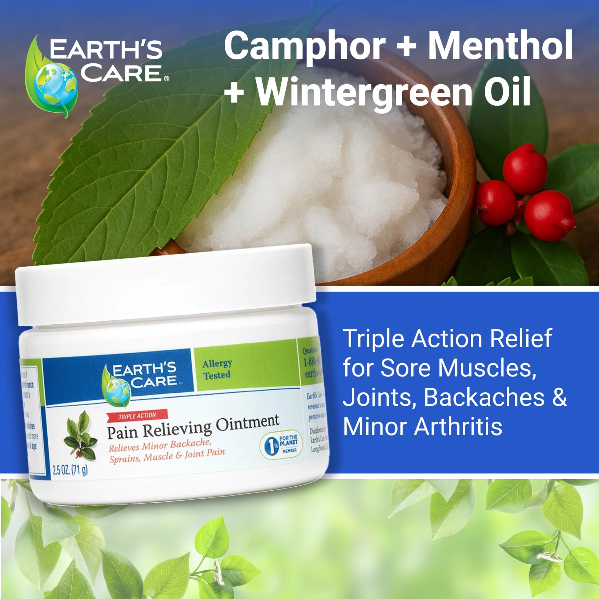 Earth's Care Triple Action Pain Relieving Ointment, No Parabens, Colors or Fragrances, Allergy-Tested 2.5 OZ. (2 Jars) Earth's Care Au supplements