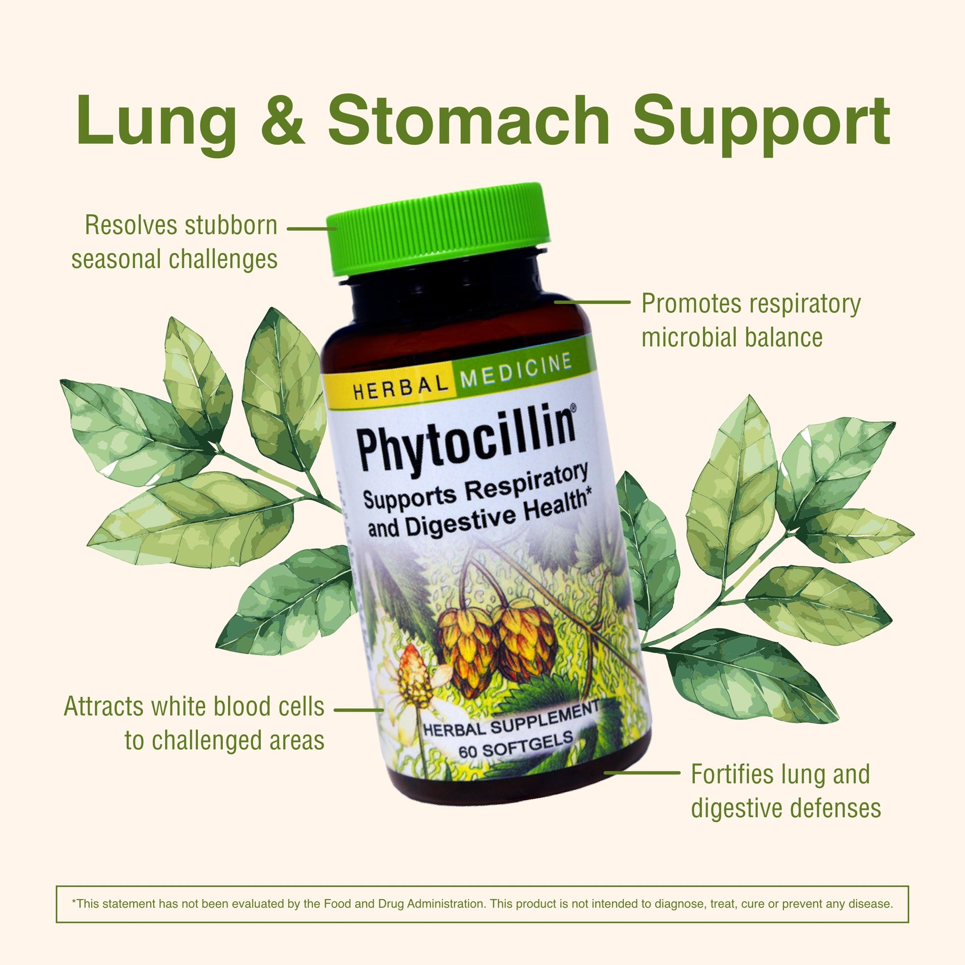 Herbs Etc. Phytocillin - Respiratory & Digestive Health Support Supplement - Herbal Formula to Support Digestion - Support Healthy Breathing - 60 Softgels (60 Servings) Herbs Etc. Au supplements