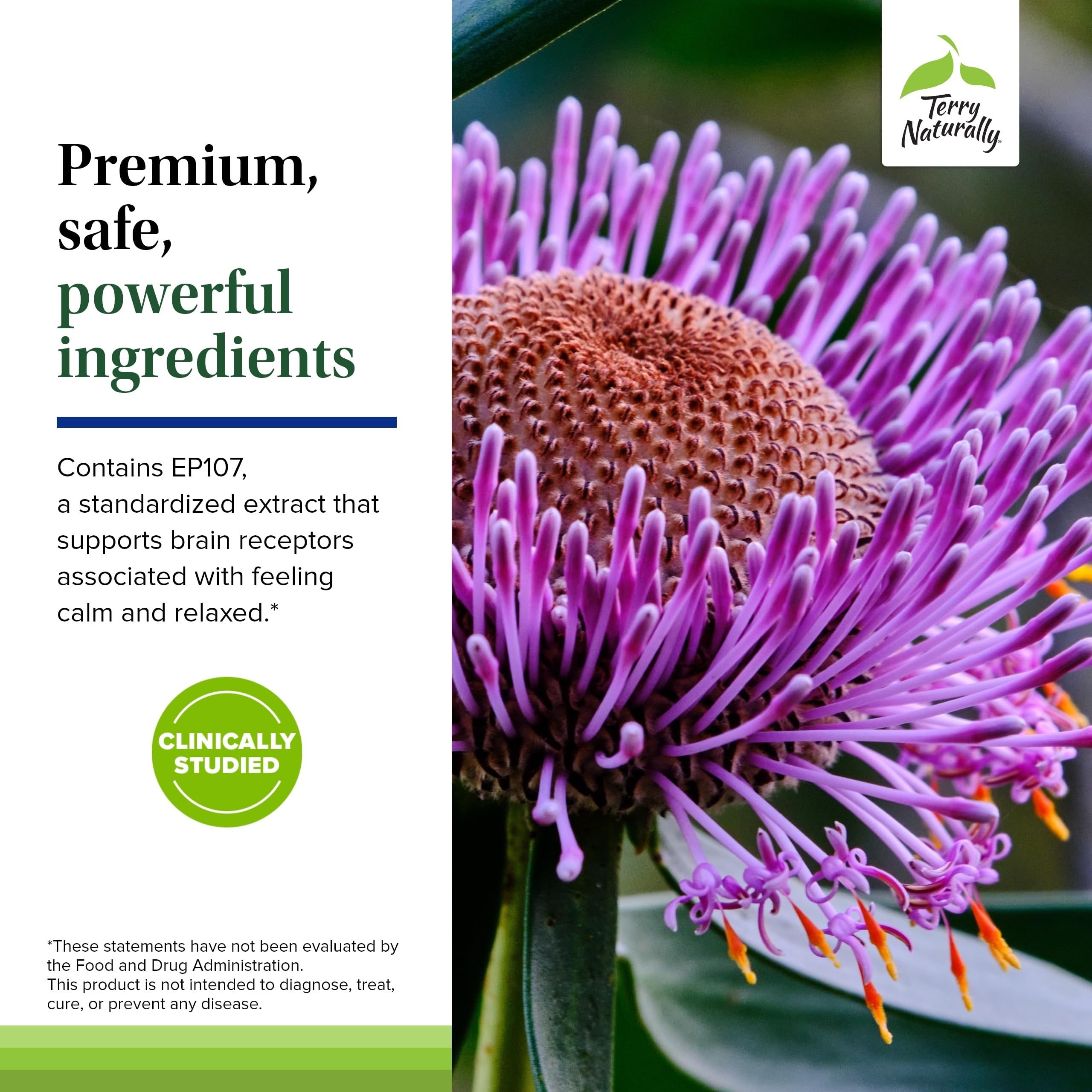 Terry Naturally AnxioCalm - Calming Support Supplement - Supports Against Occasional Tension & Aids Calm Feelings with Narrow-Leaved Coneflower - Non-Drowsy Supplement - 75 Tablets Terry Naturally Au supplements