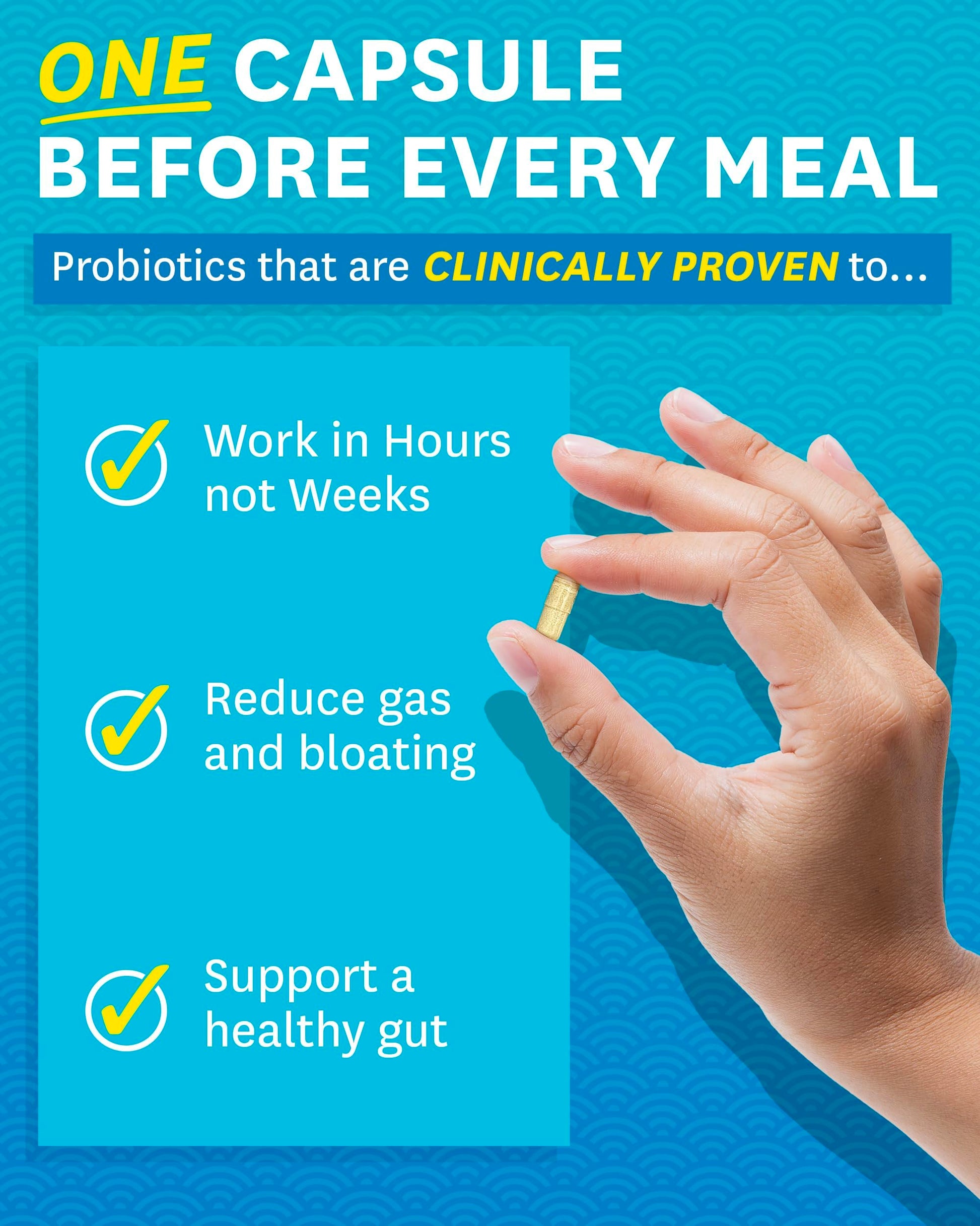 Zenwise Health Digestive Enzymes - Probiotic Multi Enzymes with Probiotics Zenwise Health Au supplements