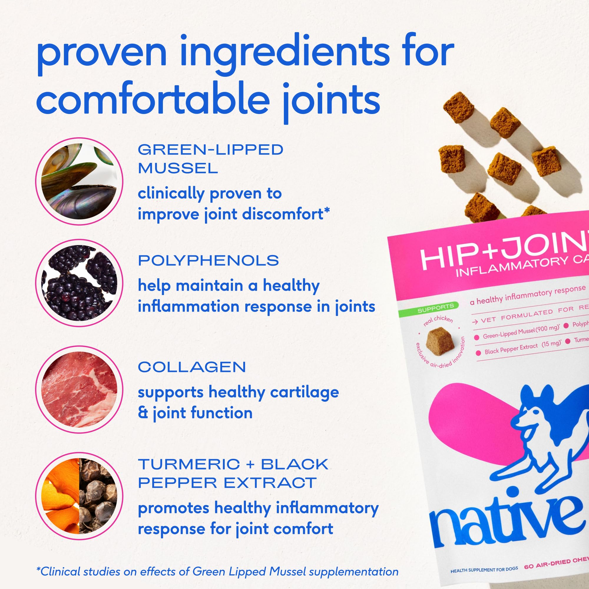 Native Pet Inflammatory Care - Pain Relief for Dogs - Green-Lipped Mussel, Turmeric & Collagen for Dogs - Hip and Joint Supplement Supports Healthy Inflammatory Response & Joint Comfort - 60 Chews Native Pet Au supplements