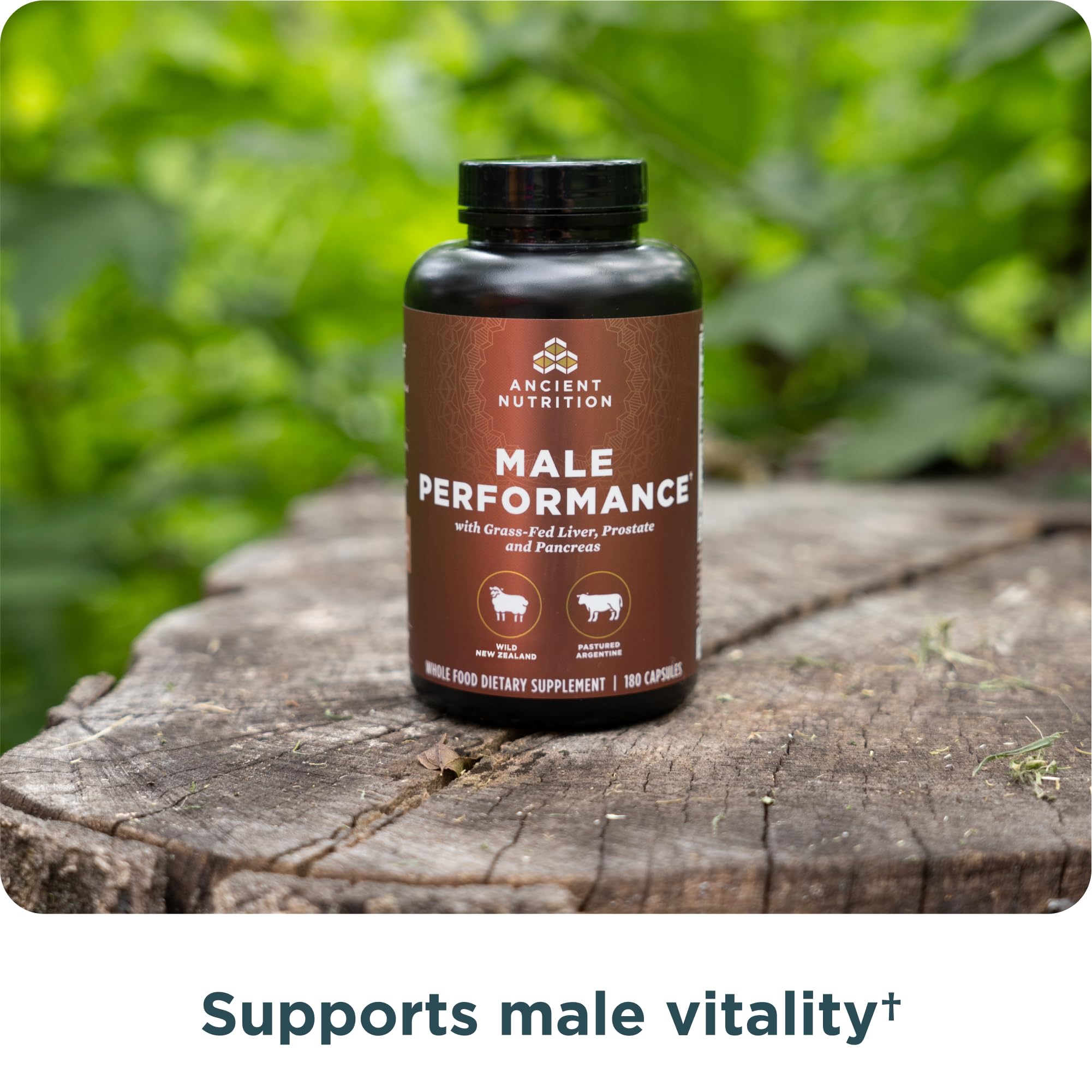 Ancient Nutrition Organ Supplements for Men, Grass-Fed and Wild Organ Complex Capsules, Liver, Prostate, Pancreas Supports Male Performance, Healthy Aging, 180 Ct Ancient Nutrition Au supplements